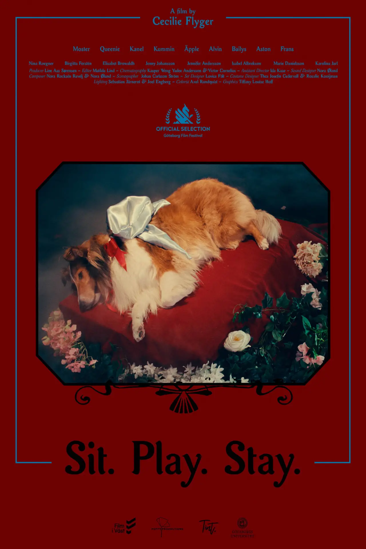 Movie poster "Sit. Play. Stay."