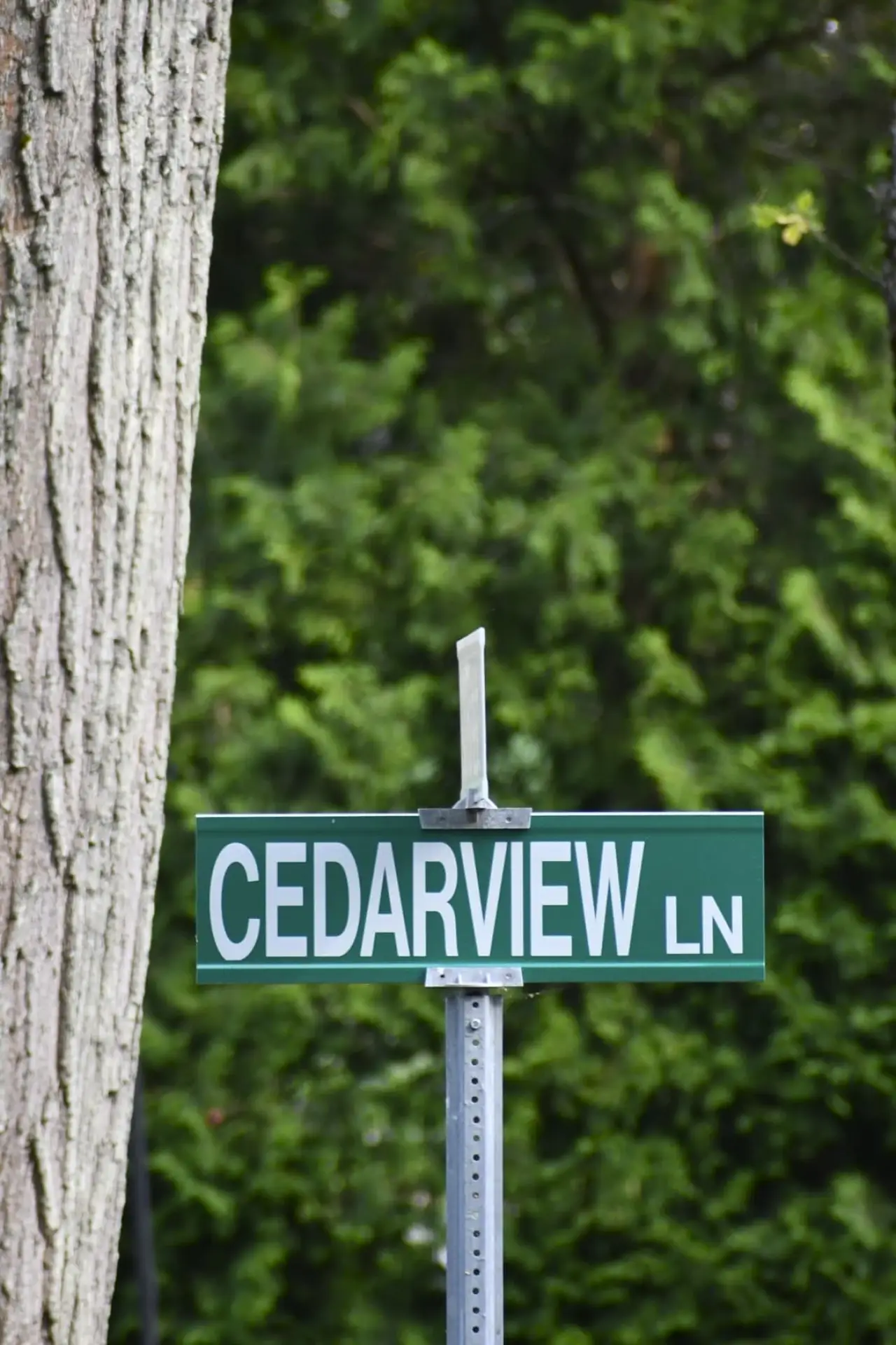 Movie poster "Cedarview"