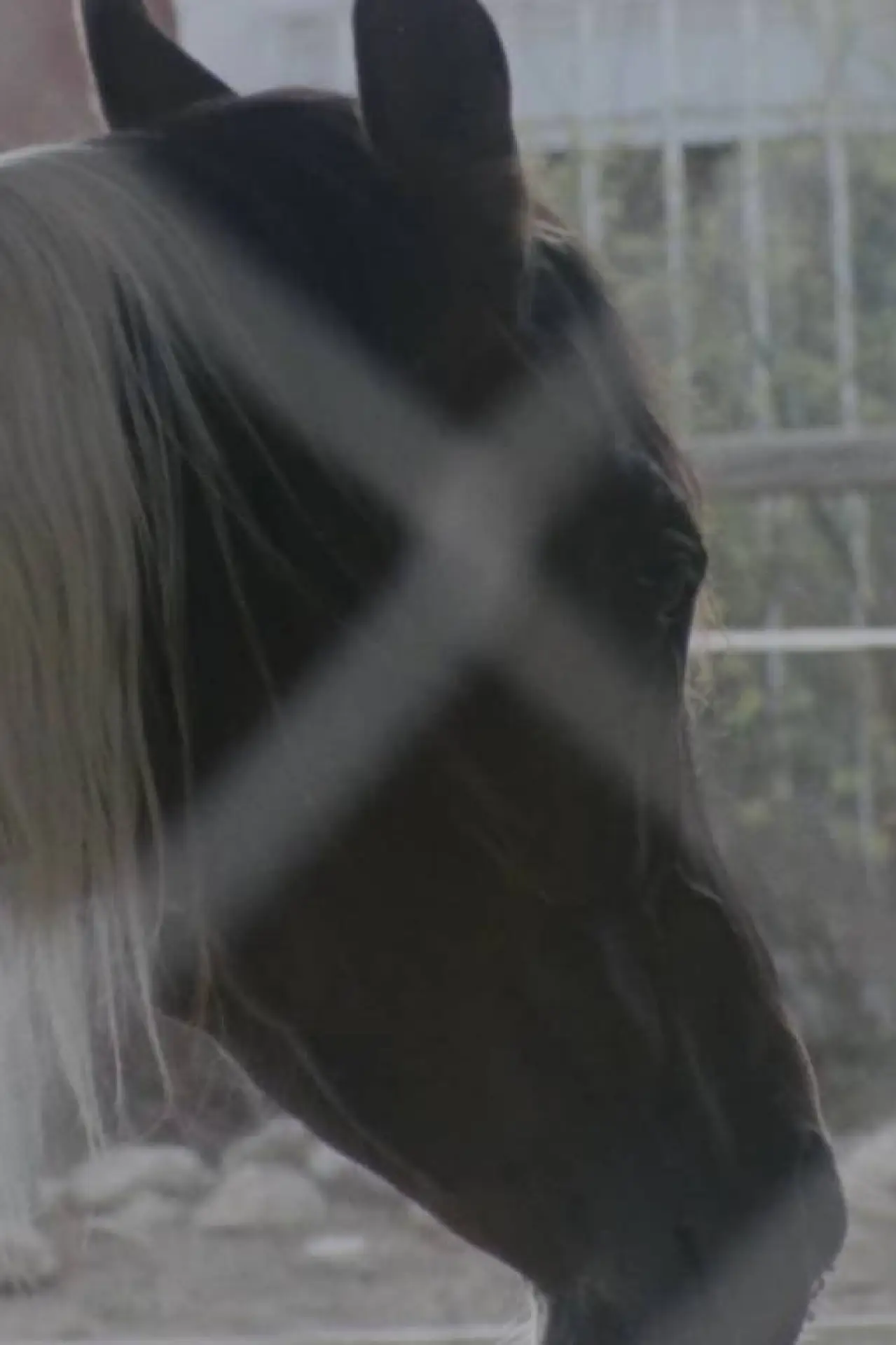 Movie poster "Horse Girl"