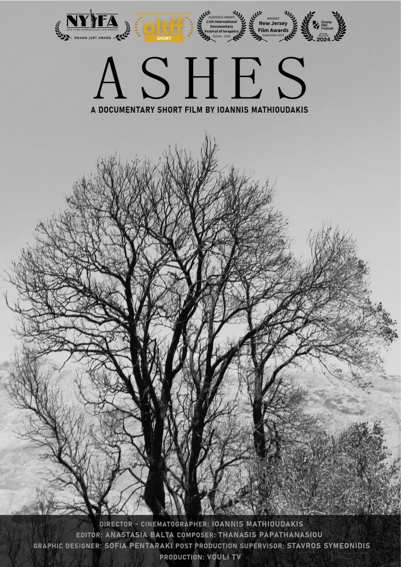 Movie poster "Ashes"