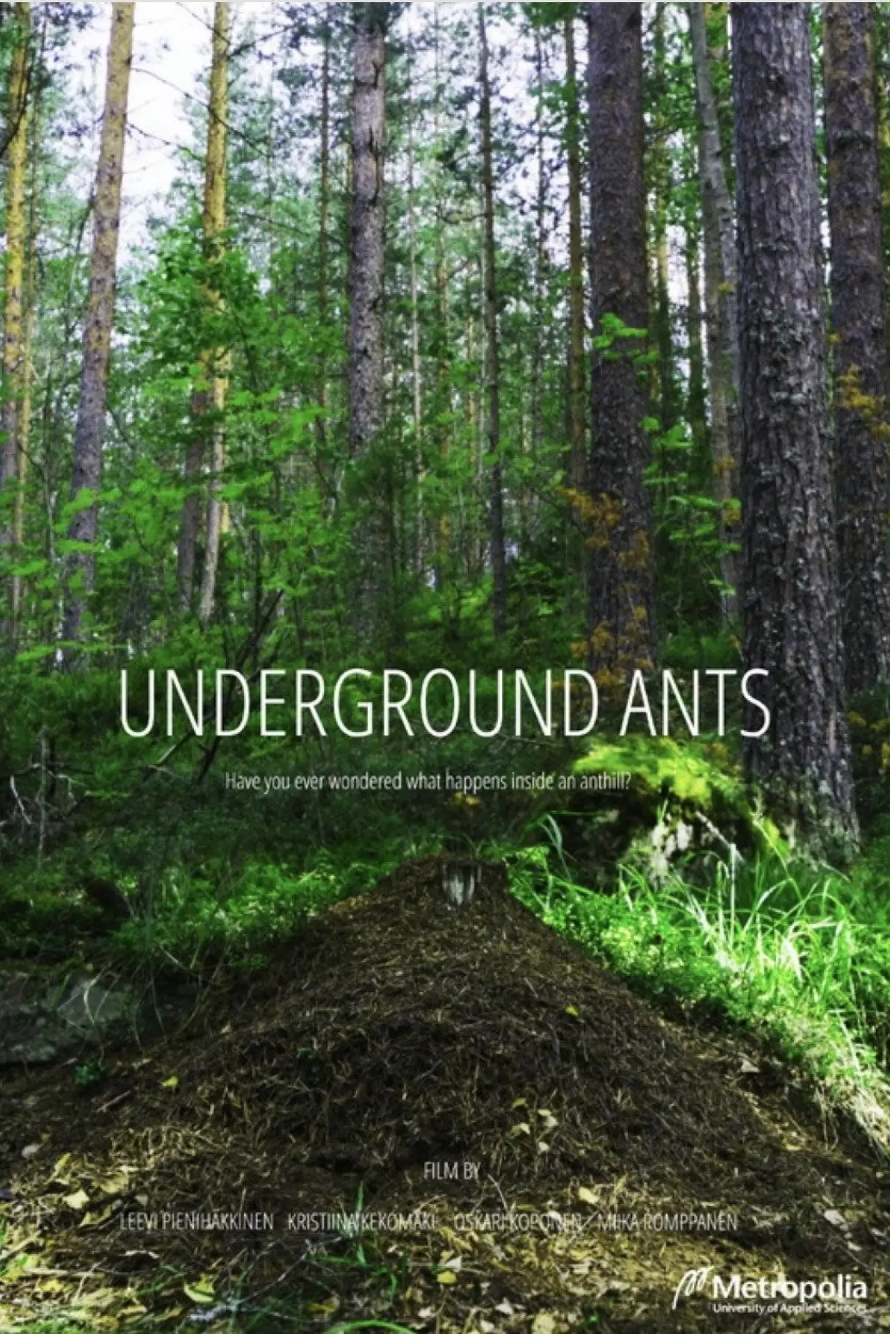 Movie poster "Underground Ants"