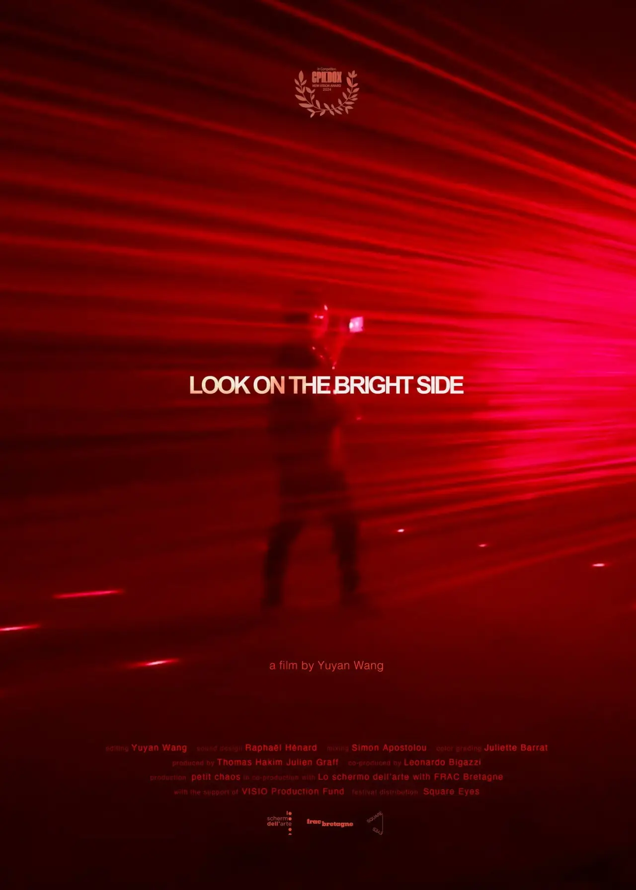Movie poster "Look On the Bright Side"