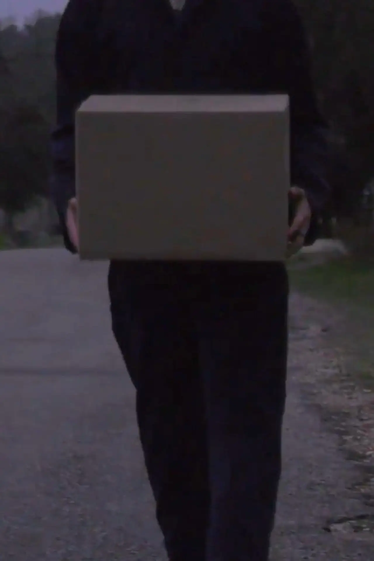 Movie poster "Delivery"