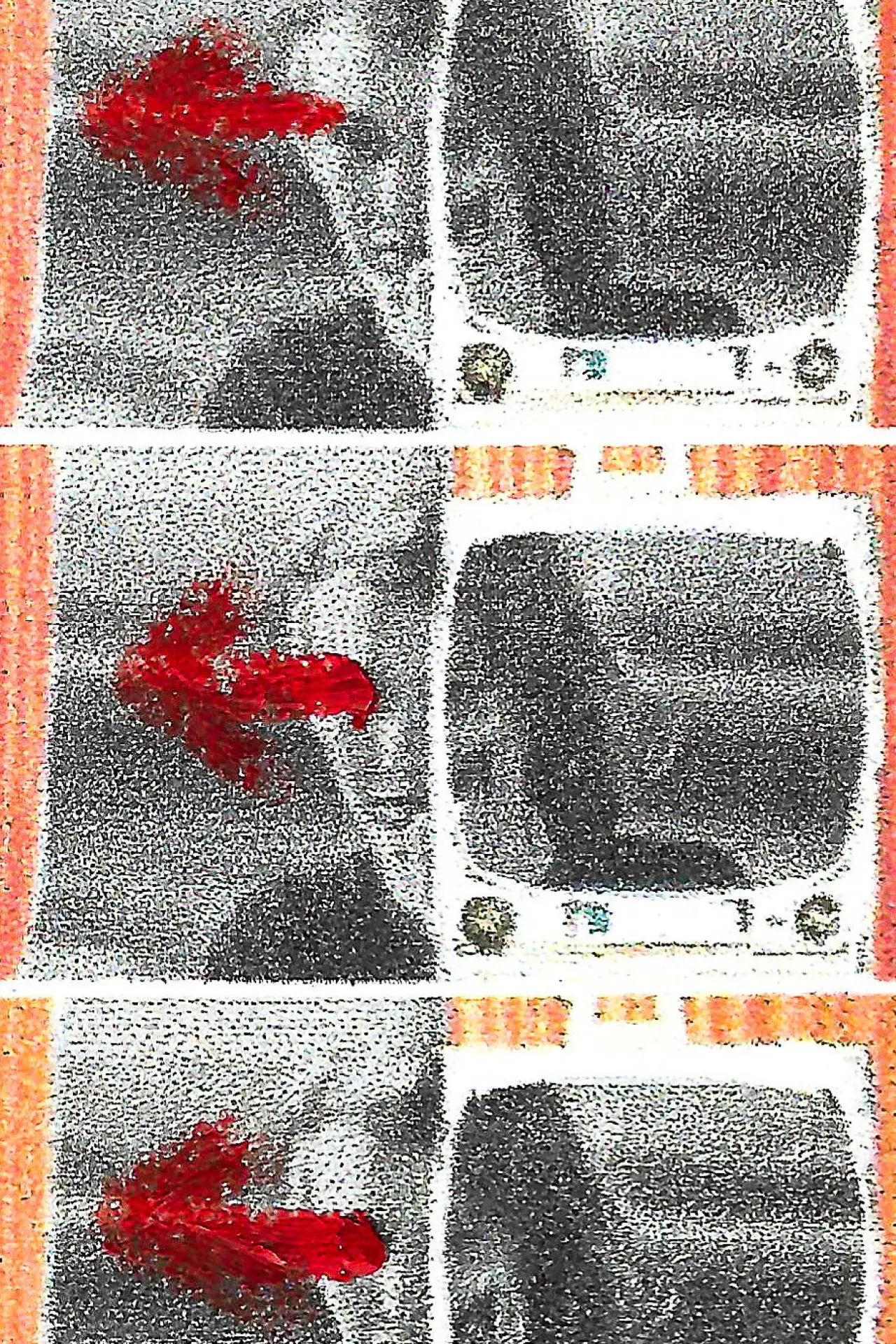 Movie poster "My Glances Went Like Gleaners"