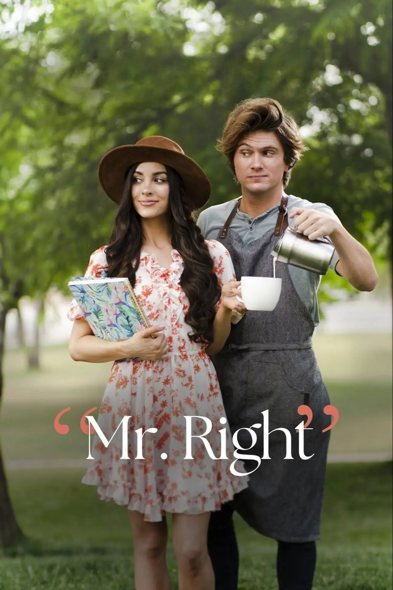 Movie poster "Mr. Right"