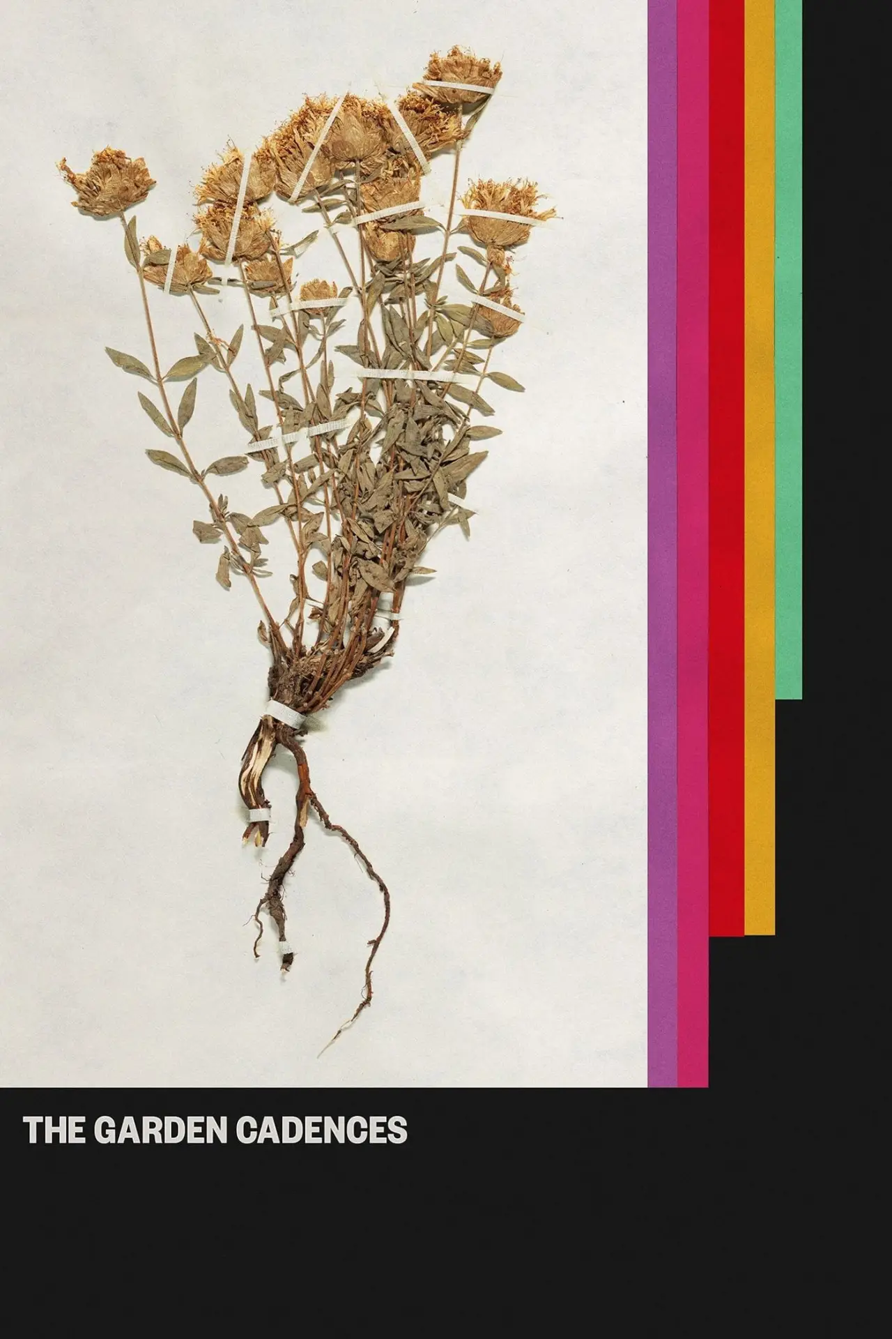 Movie poster "The Garden Cadences"