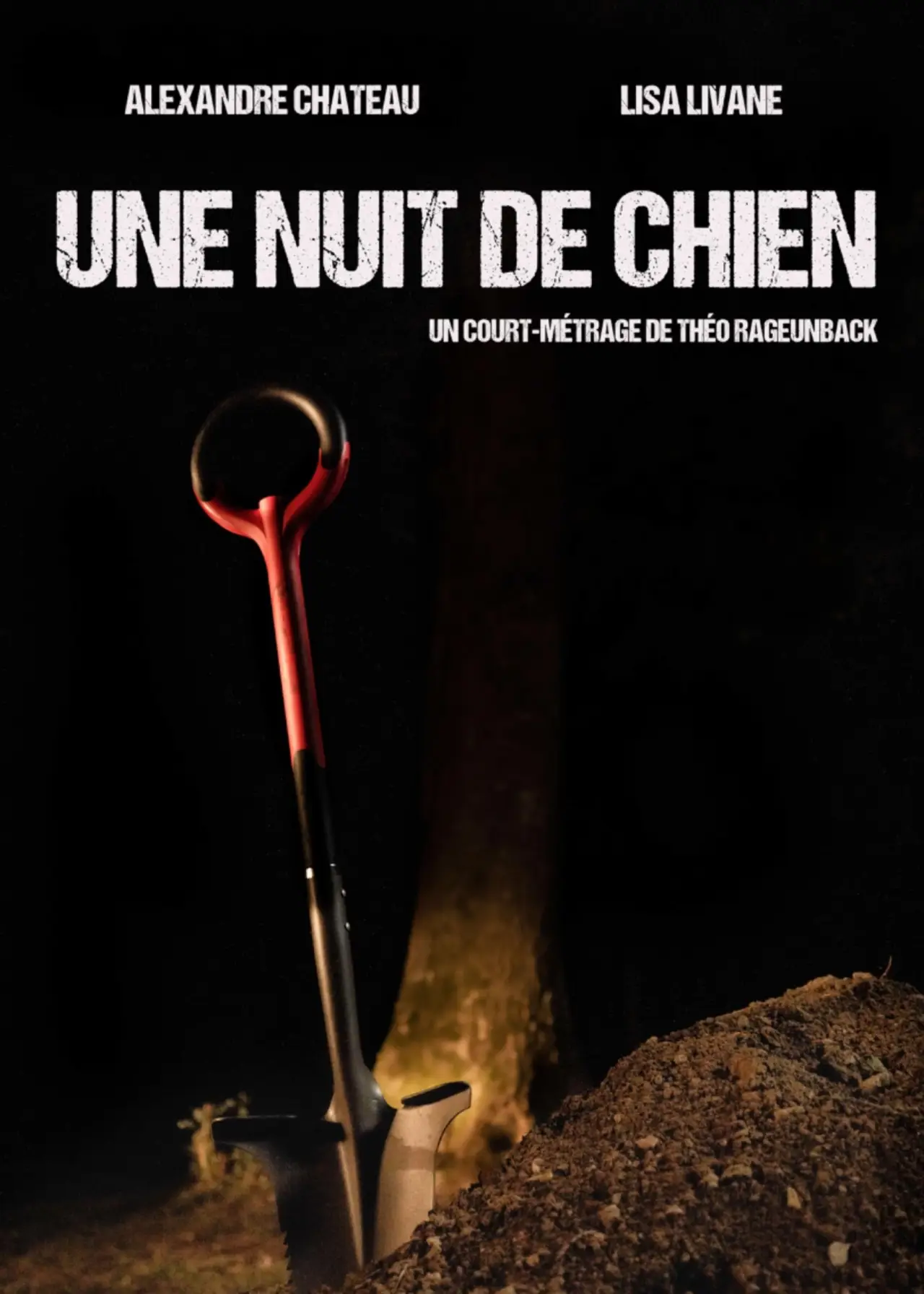 Movie poster "Une nuit de chien"