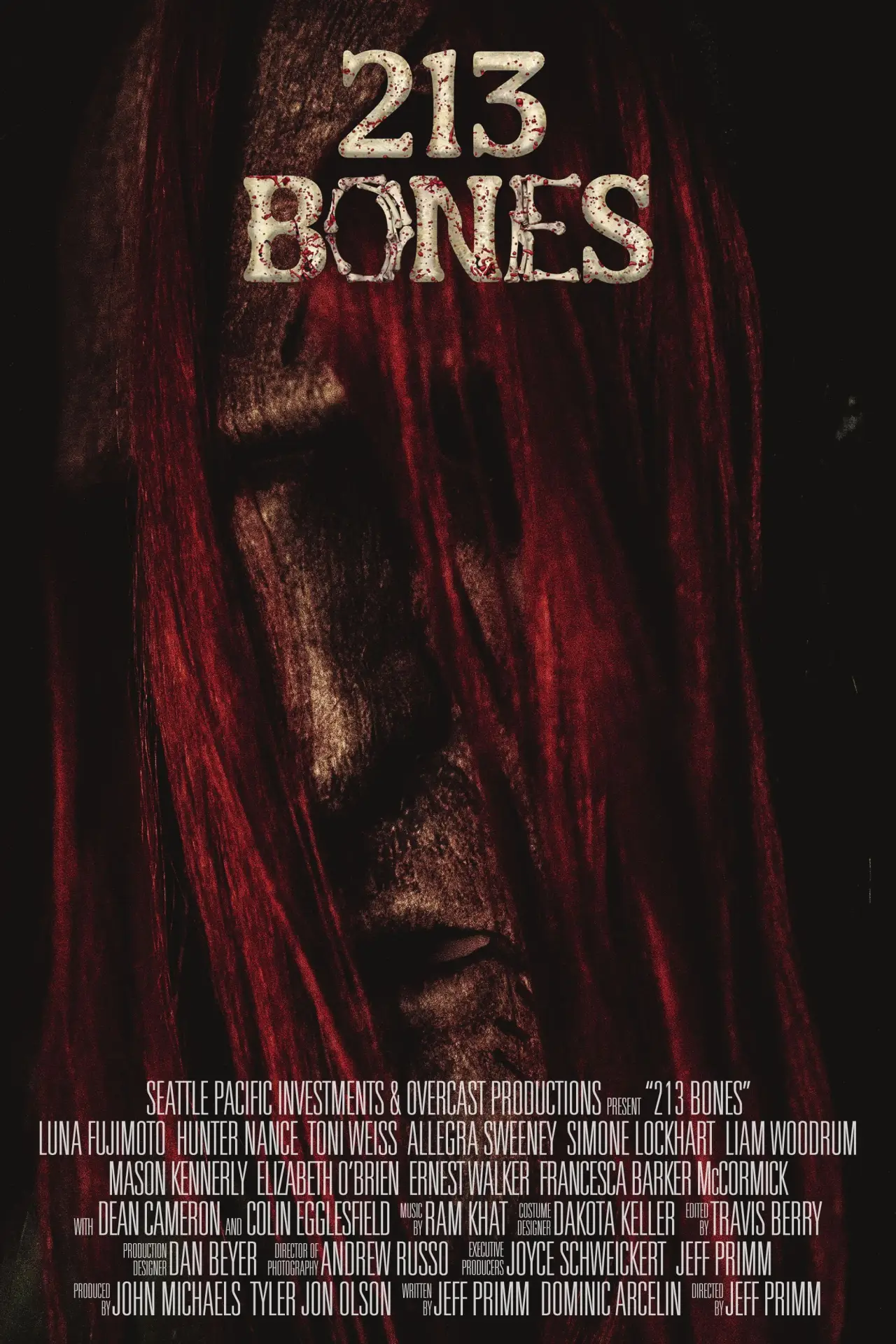 Movie poster "213 Bones"