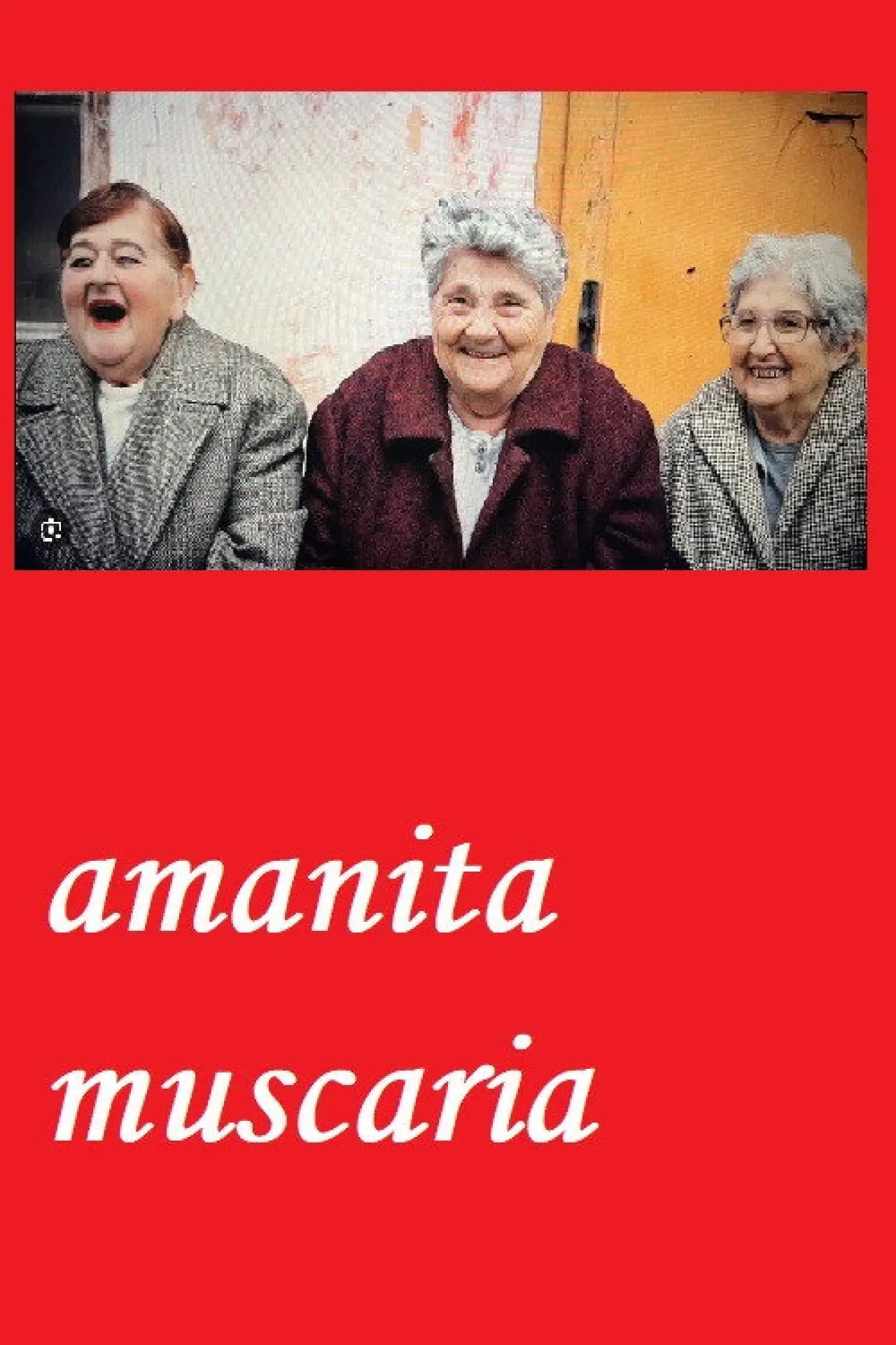 Movie poster "Amanita muscaria"