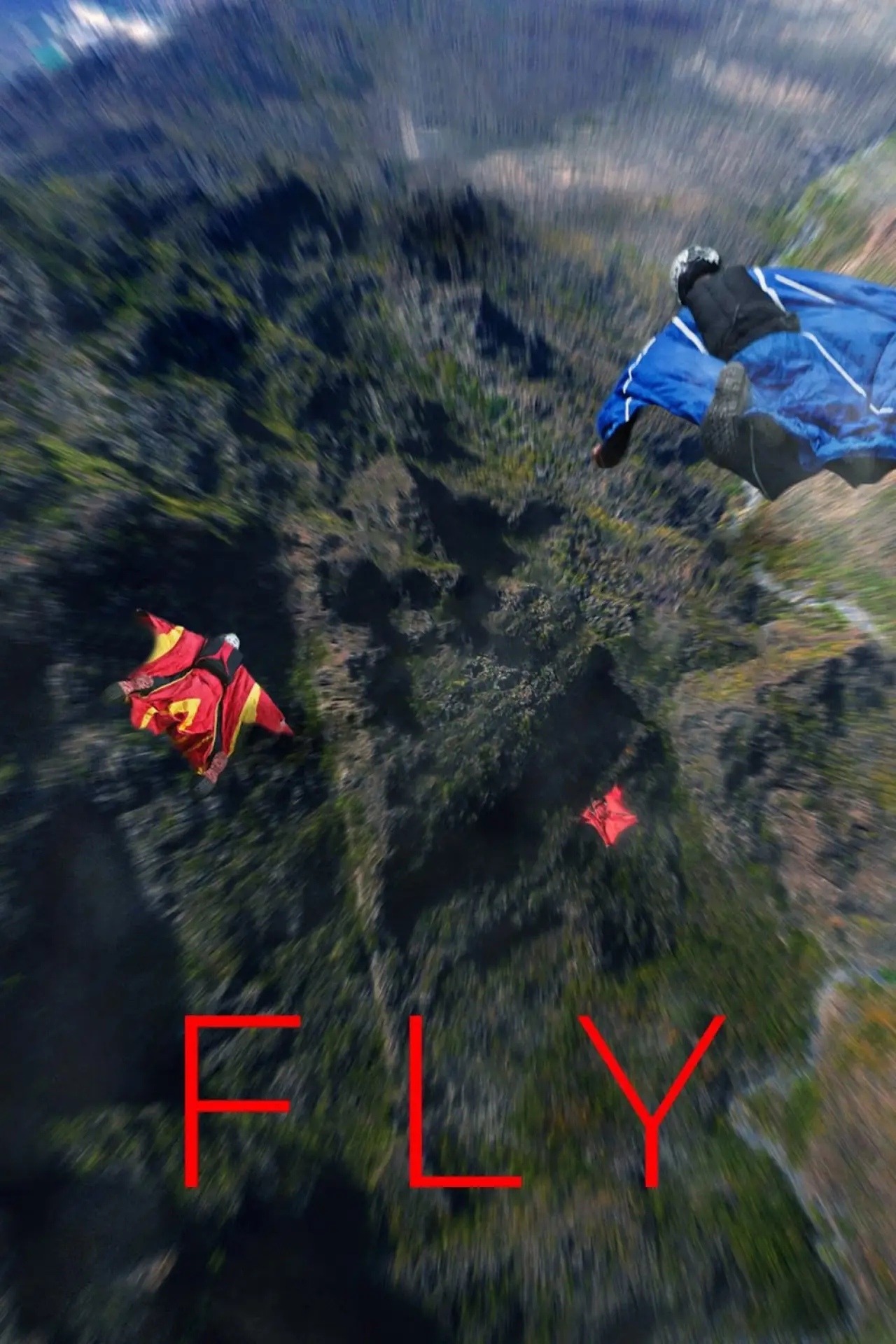 Movie poster "Fly"