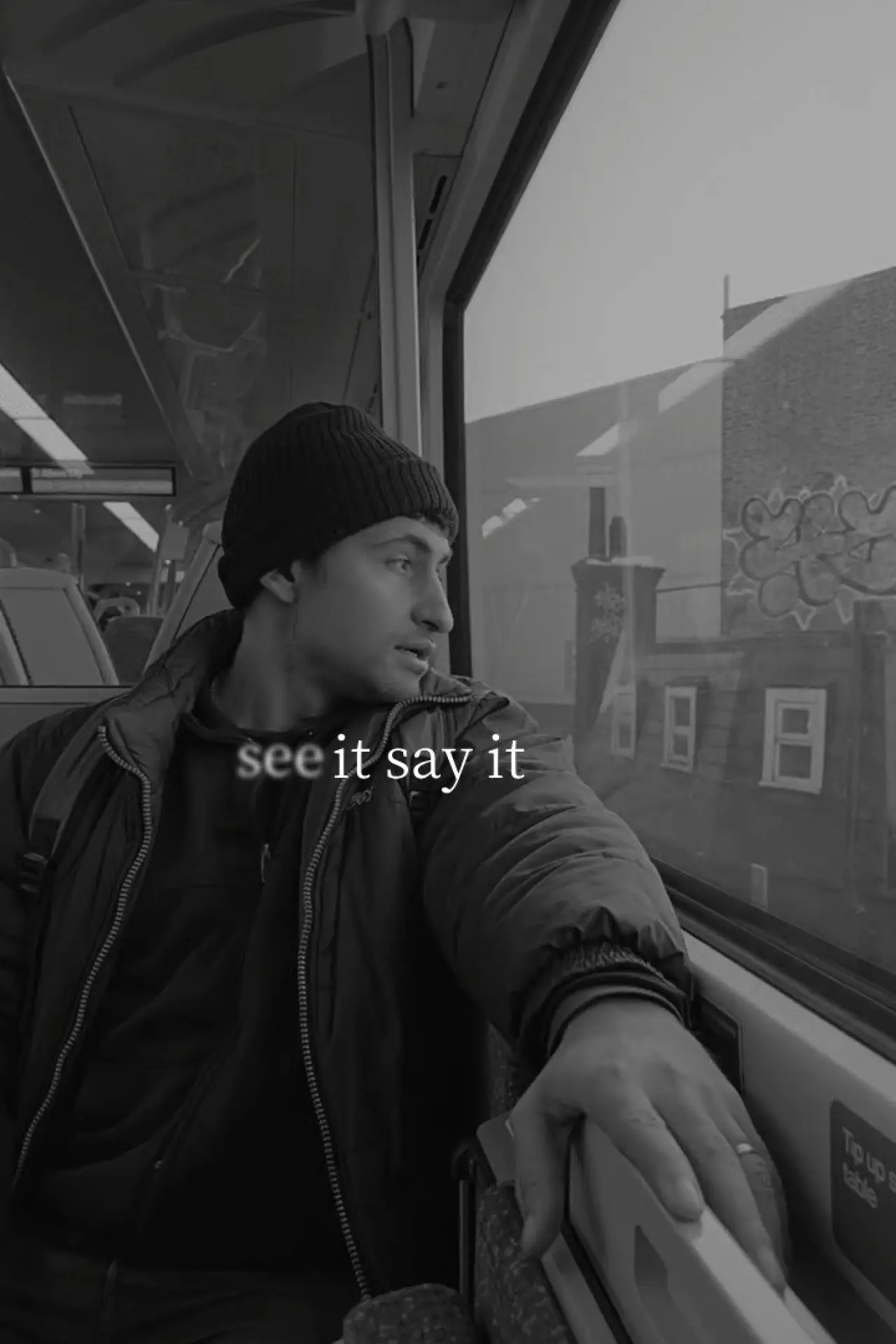 Movie poster "See It Say It"