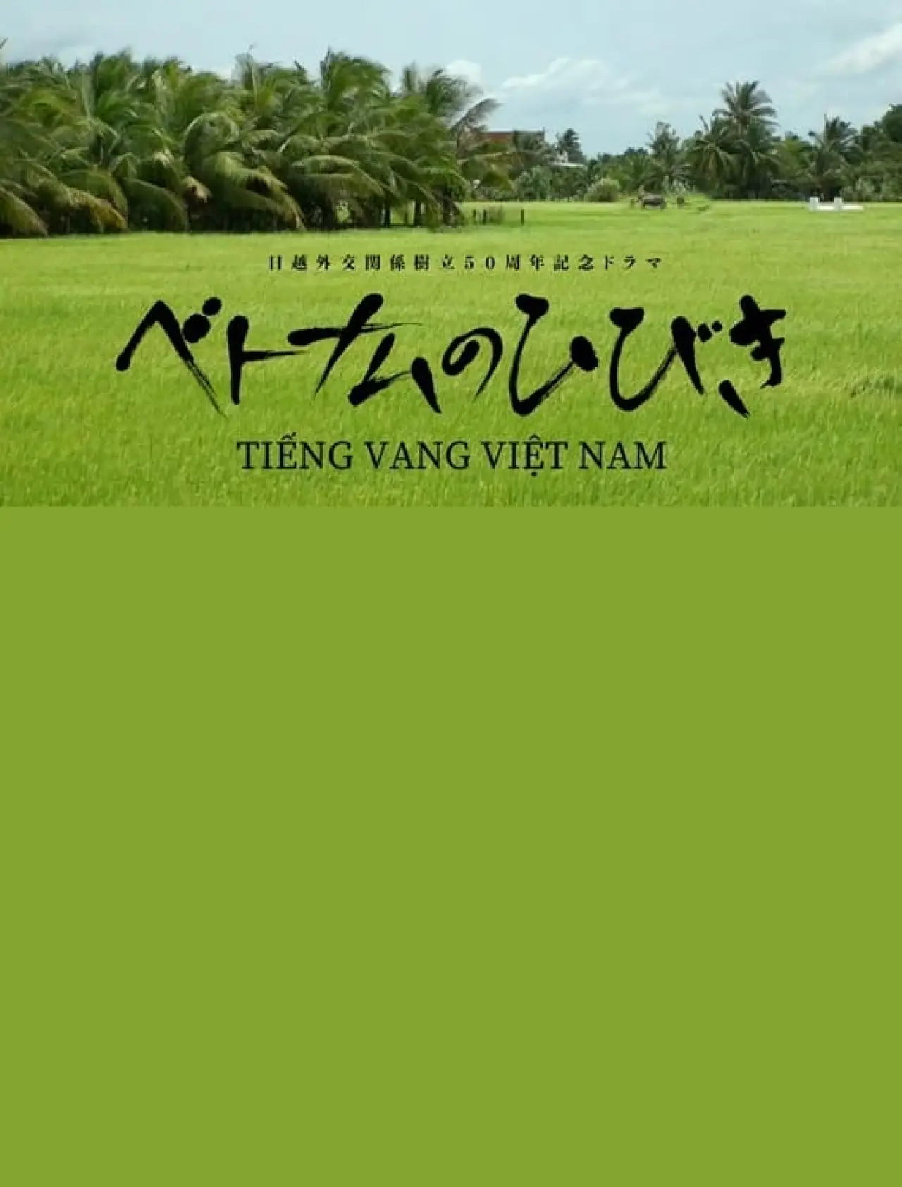 Movie poster "The Sound of Vietnam"