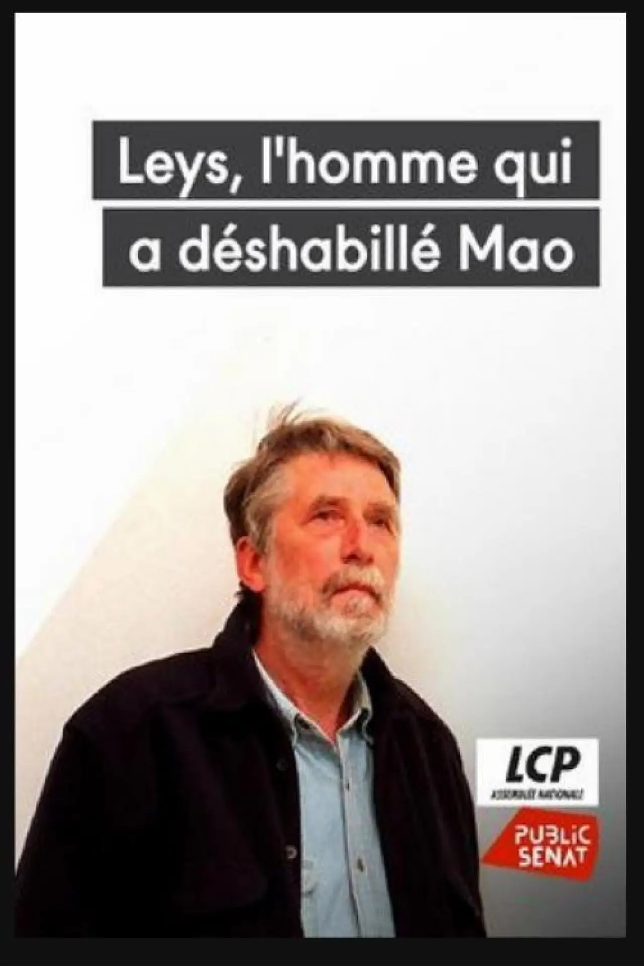 Movie poster "Leys, l