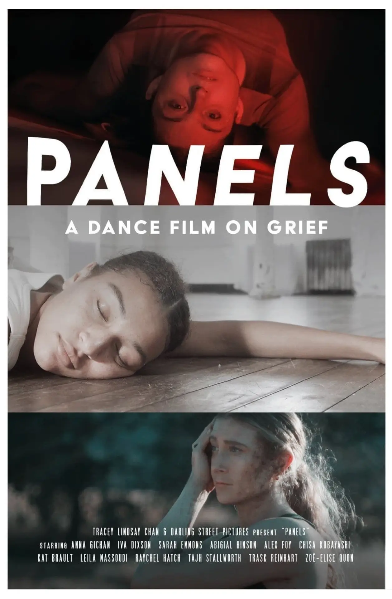 Movie poster "Panels"