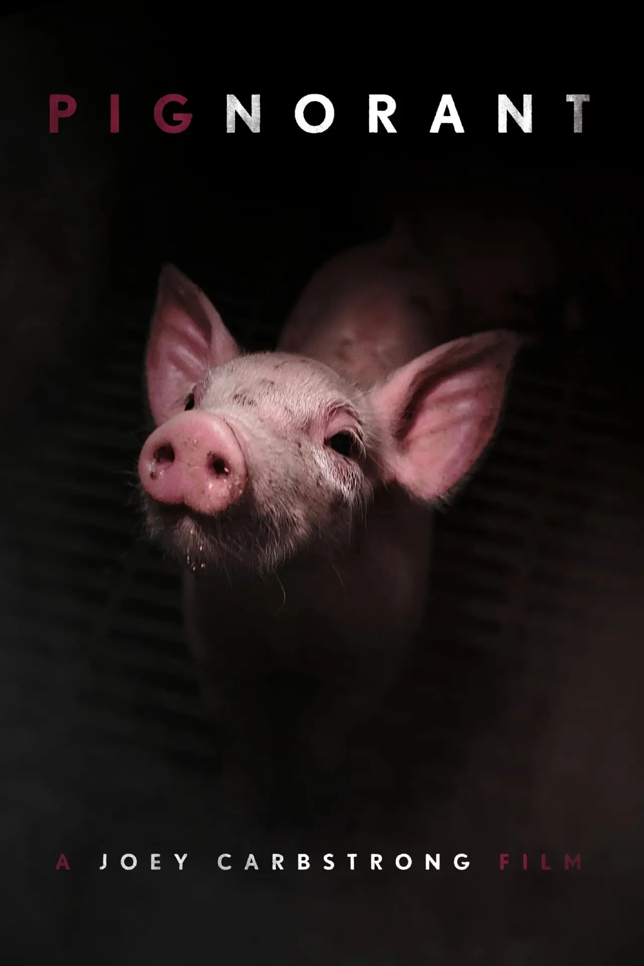 Movie poster "Pignorant"