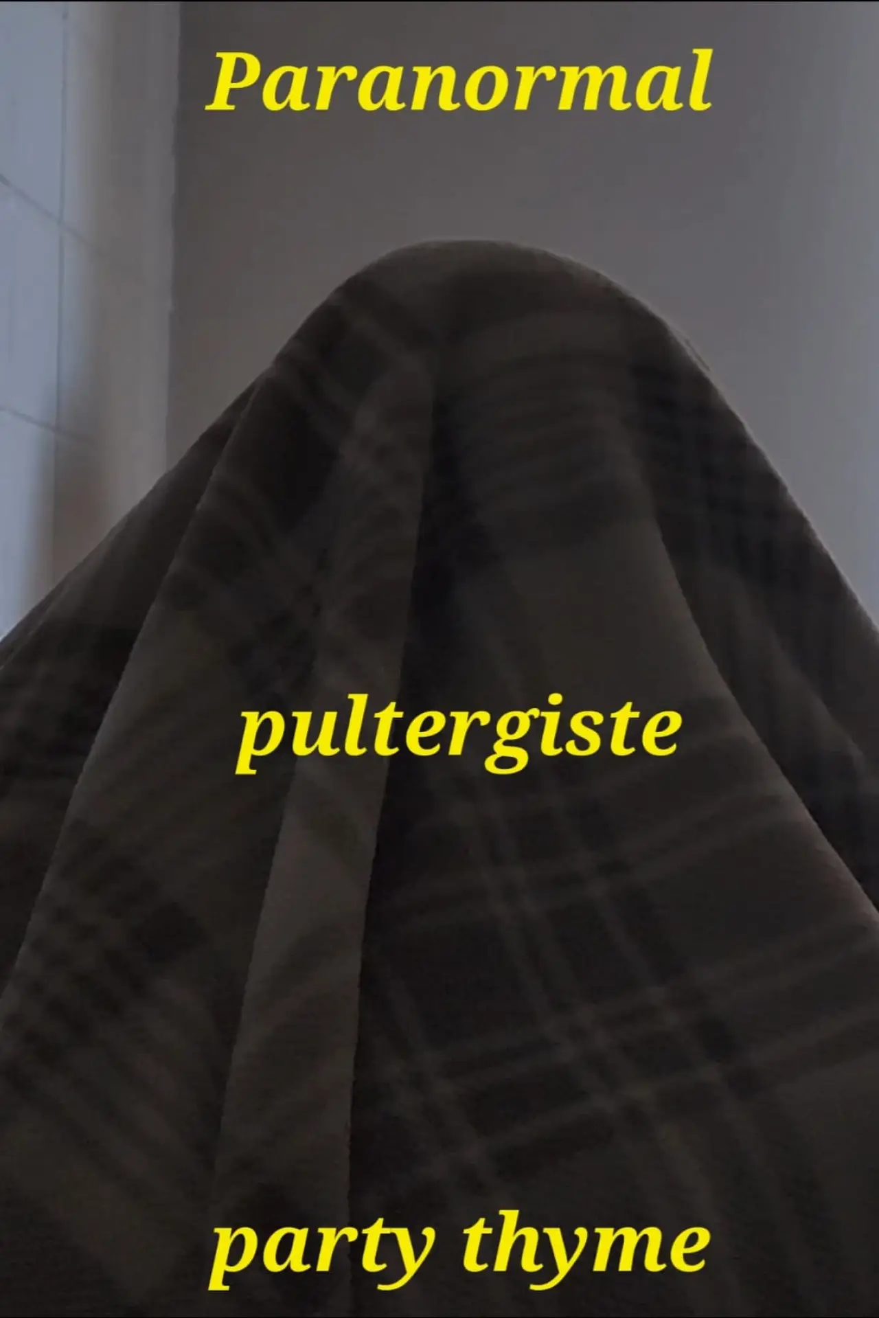 Movie poster "Paranormal Poltergeist Party Time"