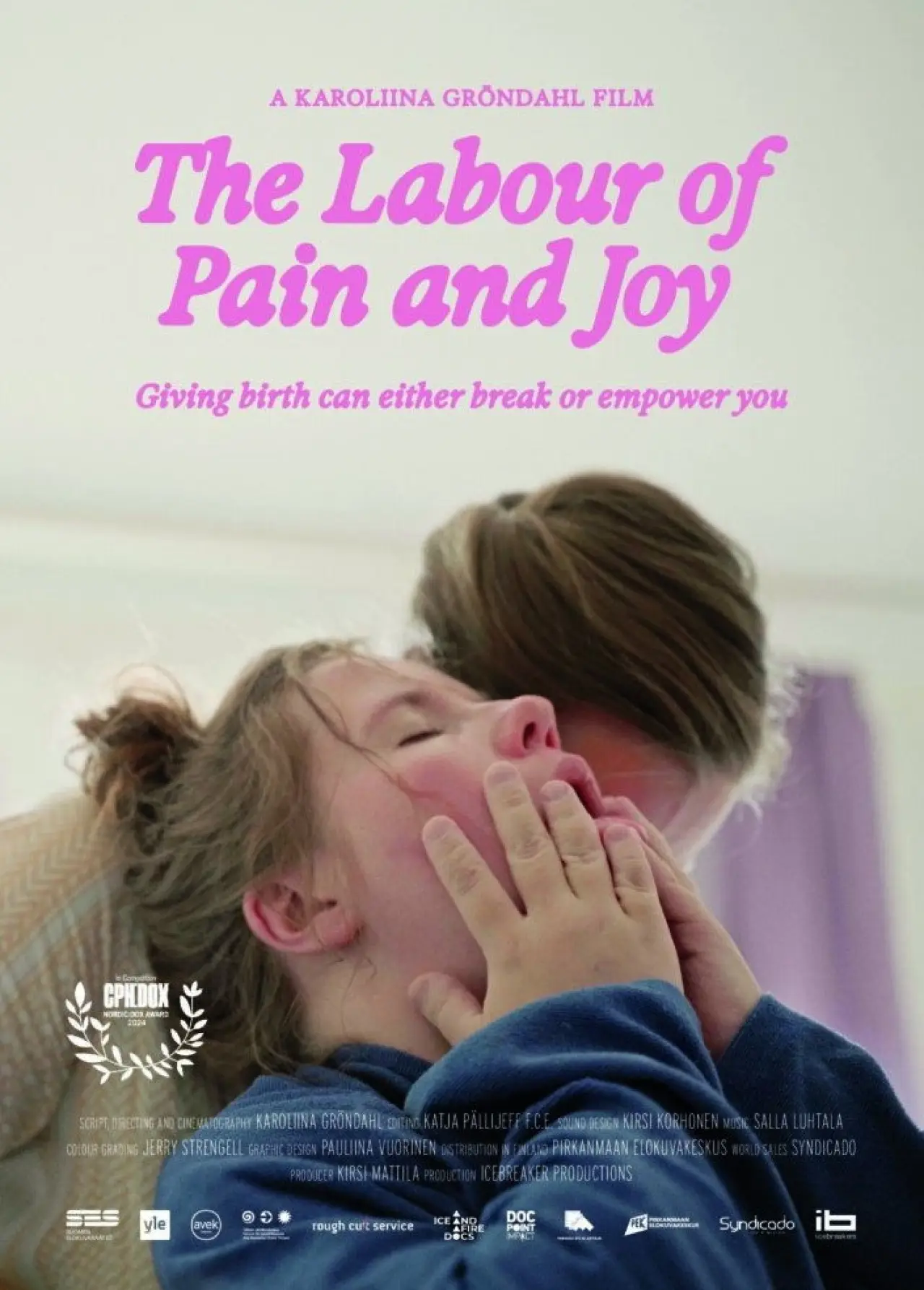 Movie poster "The Labour of Pain and Joy"
