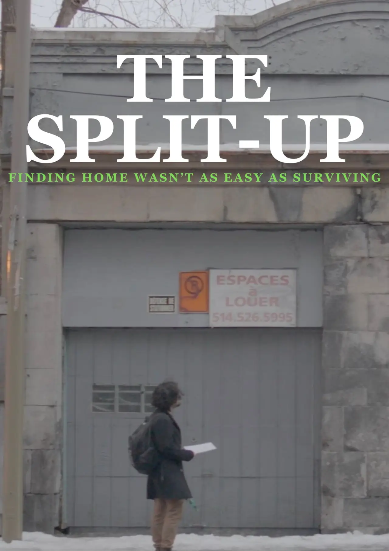 Movie poster "The Split-Up"