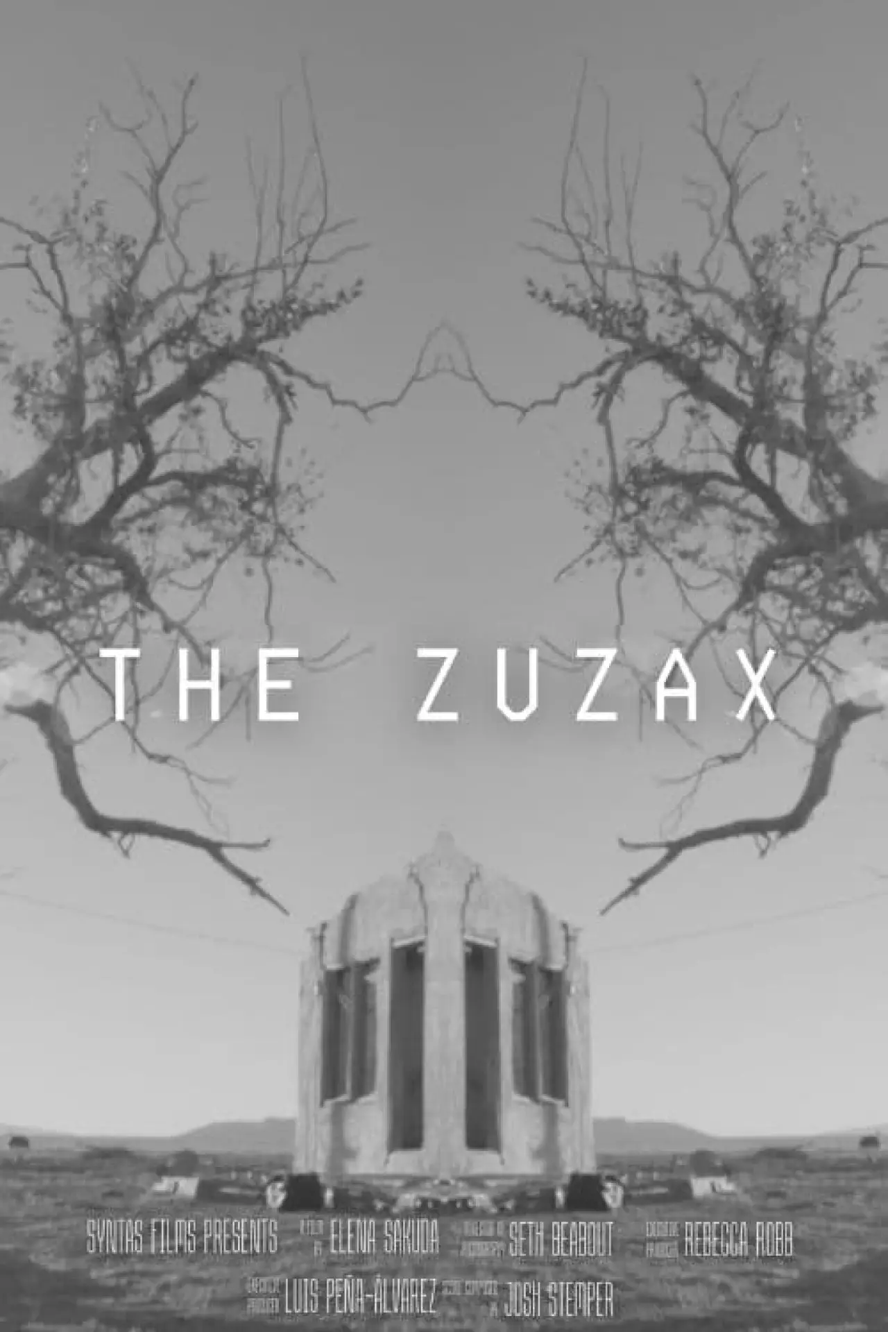 Movie poster "The Zuzax"