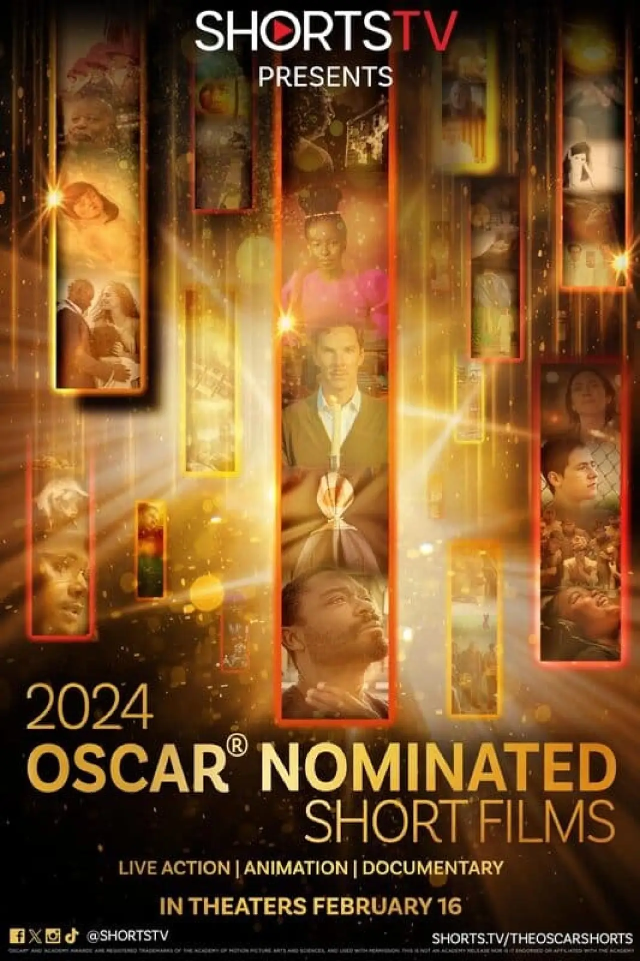 Movie poster "2024 Oscar Nominated Short Films: Documentary"