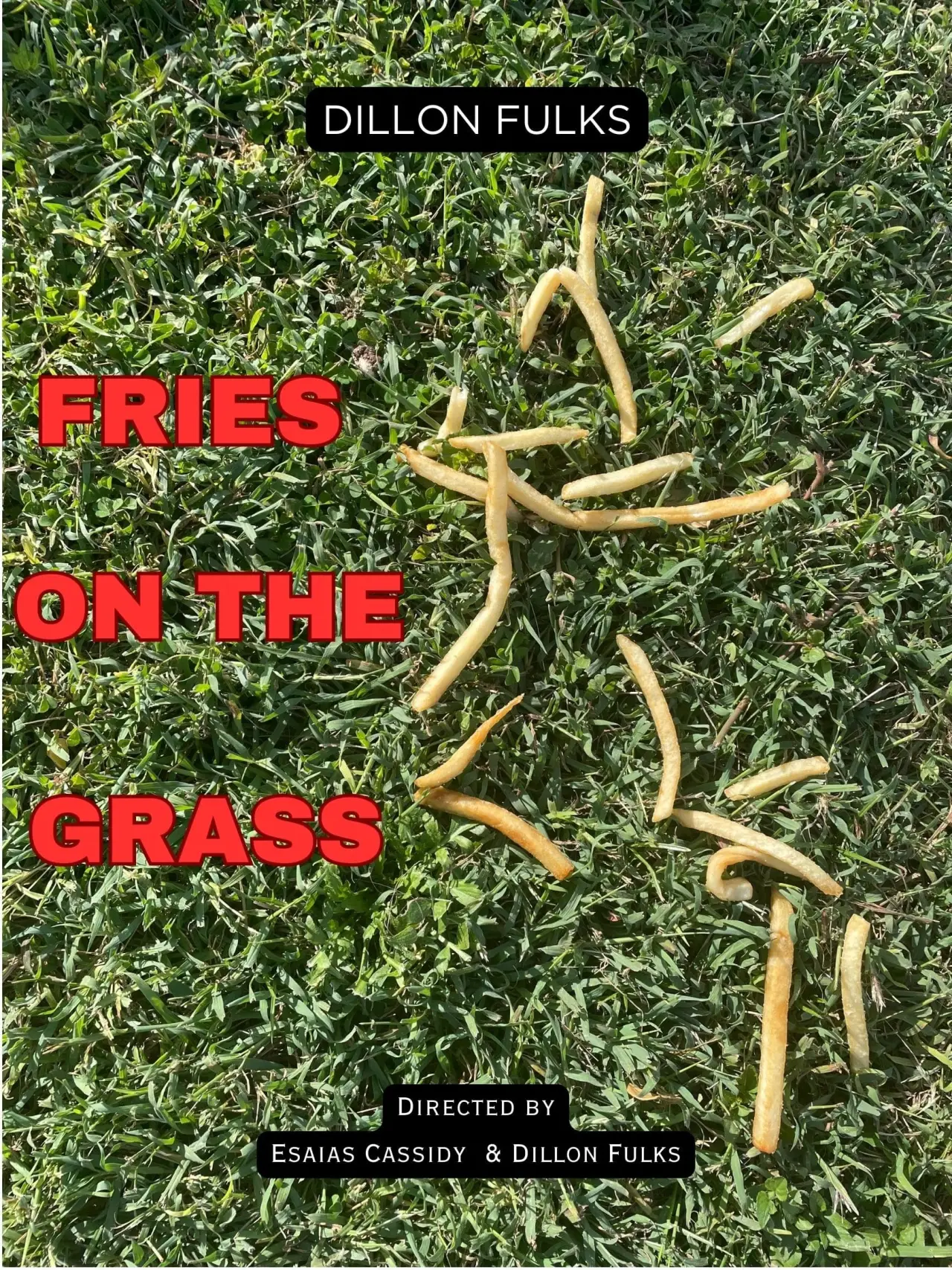Movie poster "Fries on the Grass"