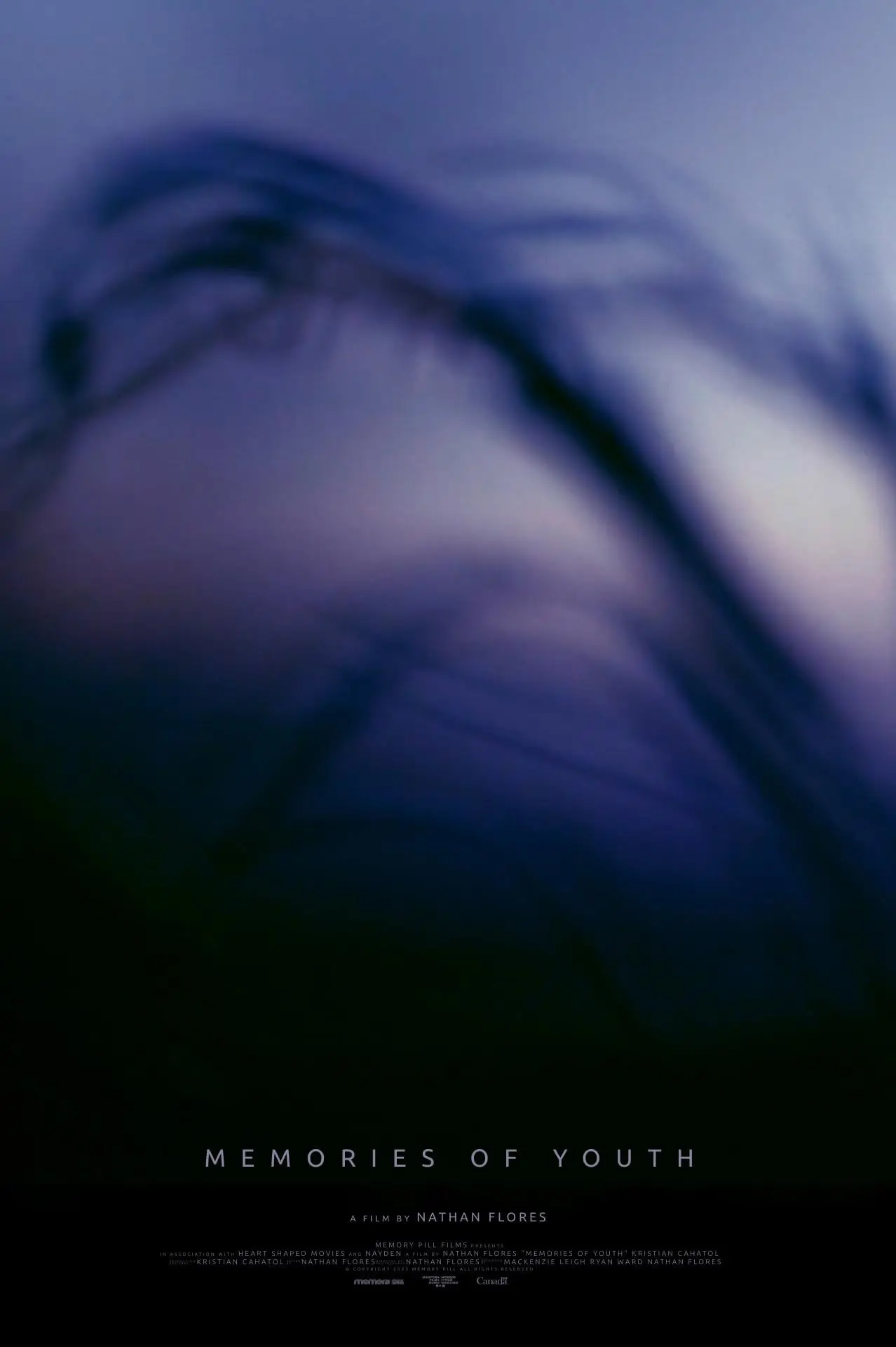 Movie poster "Memories of Youth"