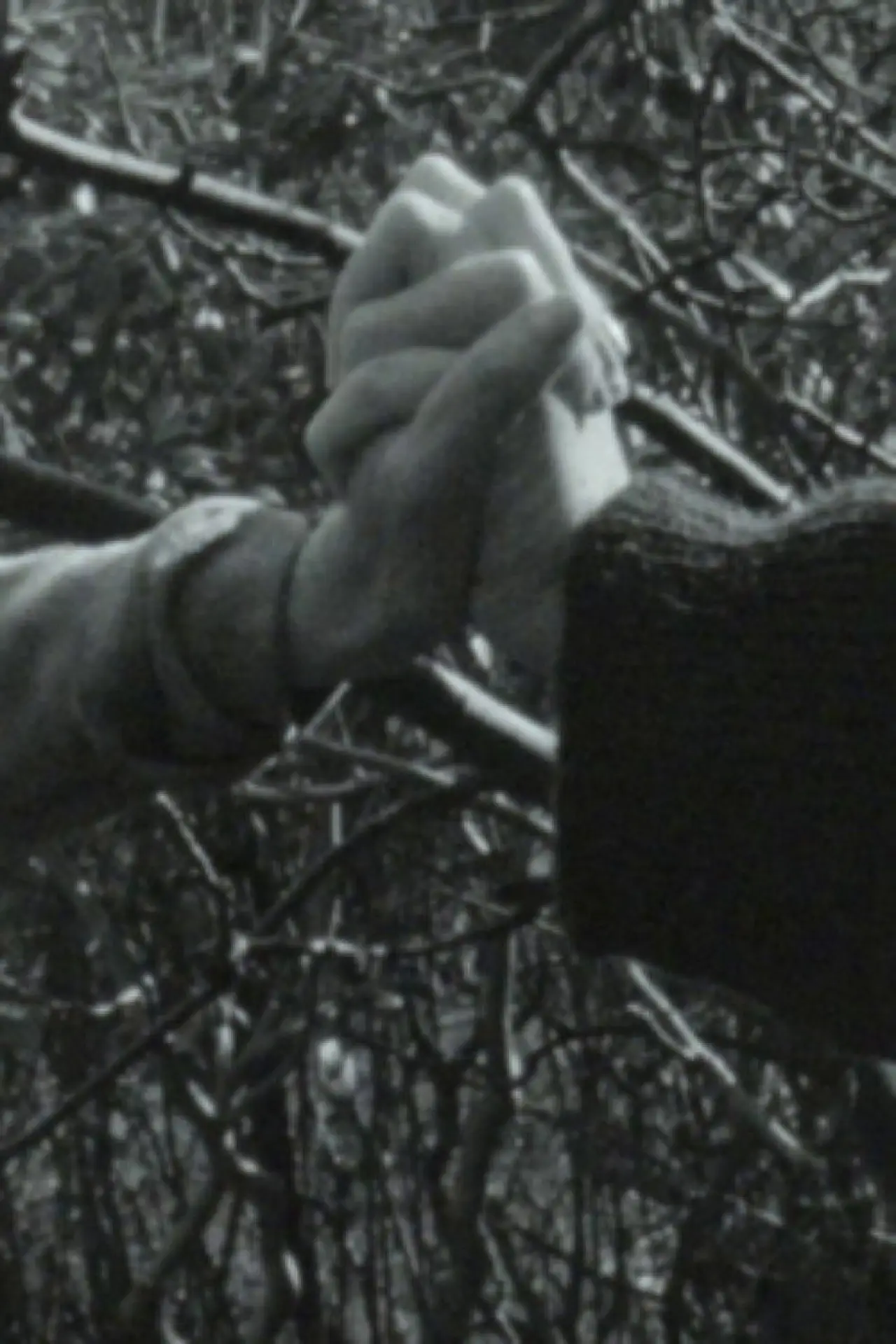 Movie poster "You Are Closer To God When You Do Not Indulge"
