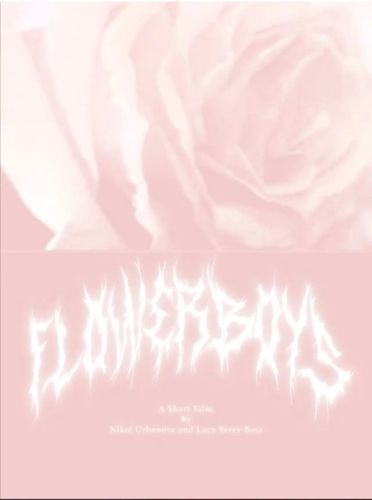 Movie poster "Flowerboys"