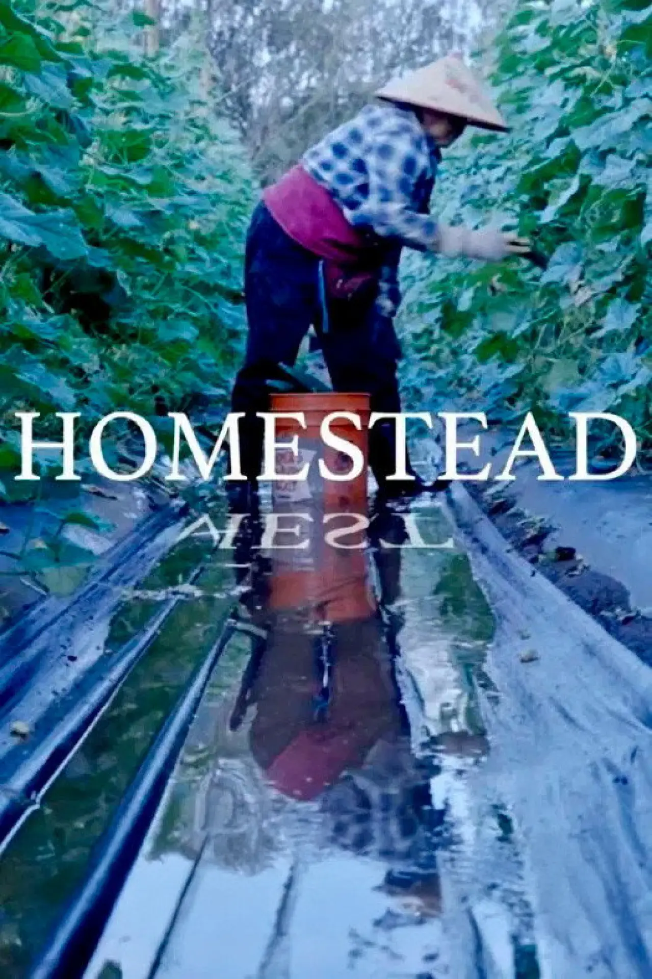 Movie poster "Homestead"