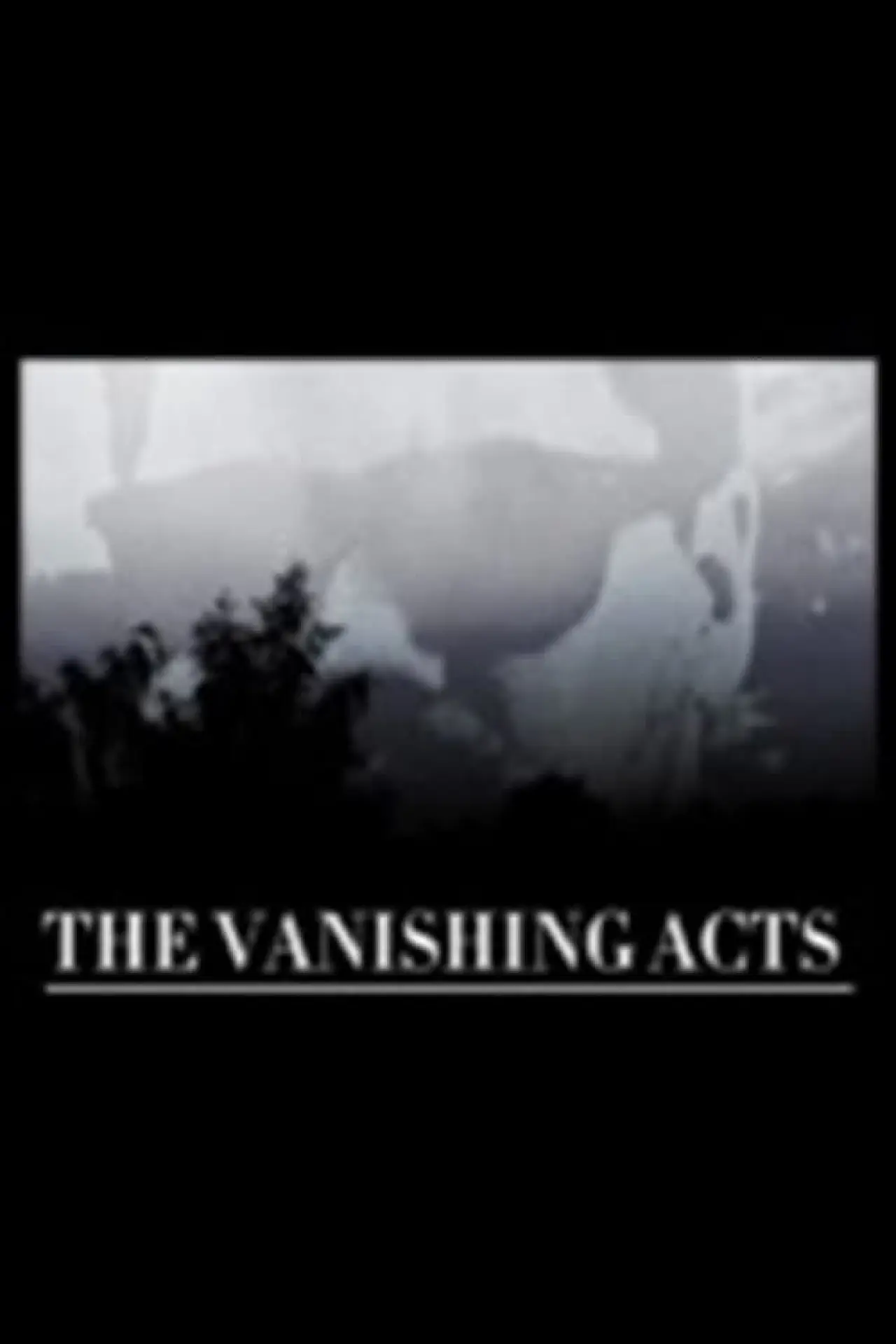 Movie poster "THE VANISHING ACTS"