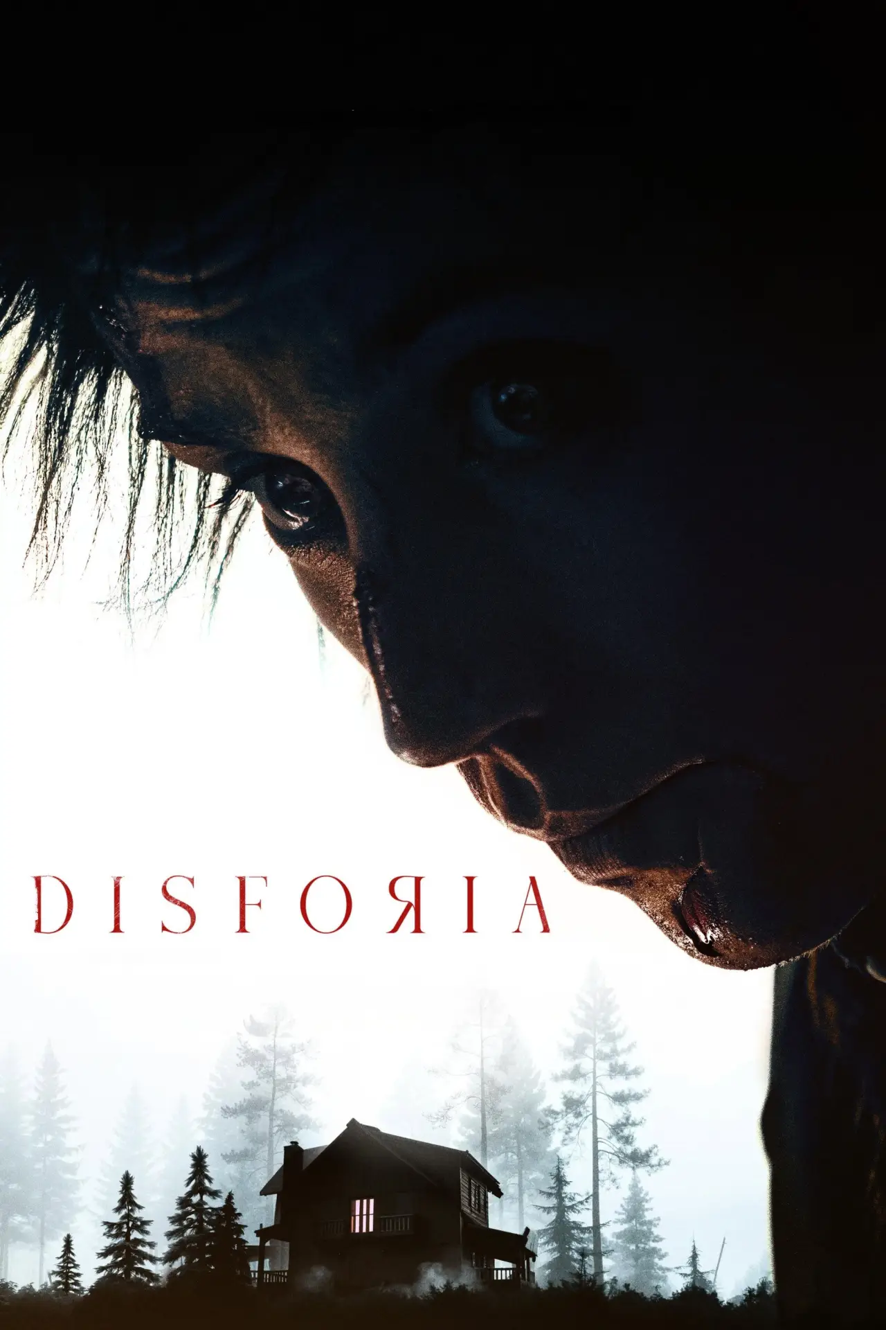 Movie poster "Disforia"