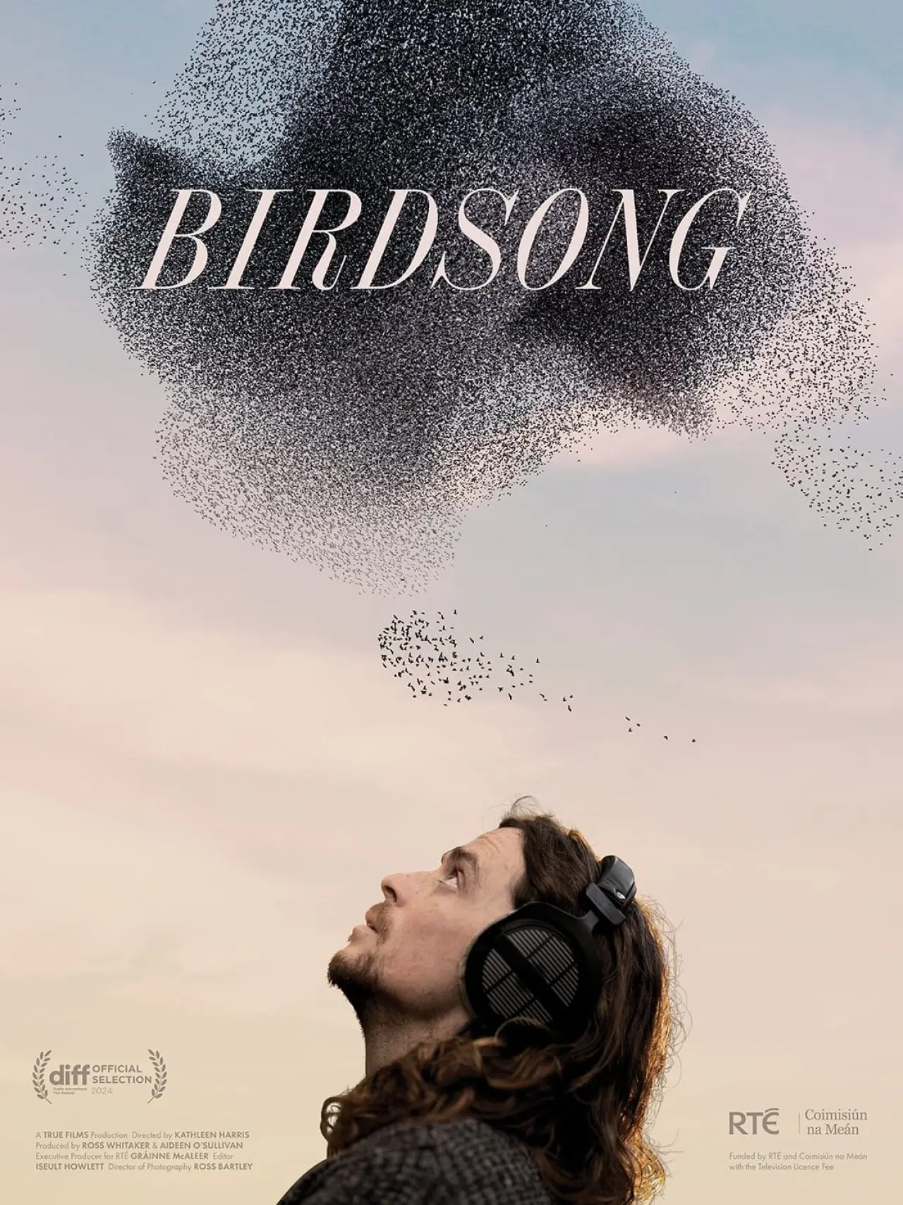 Movie poster "Birdsong"