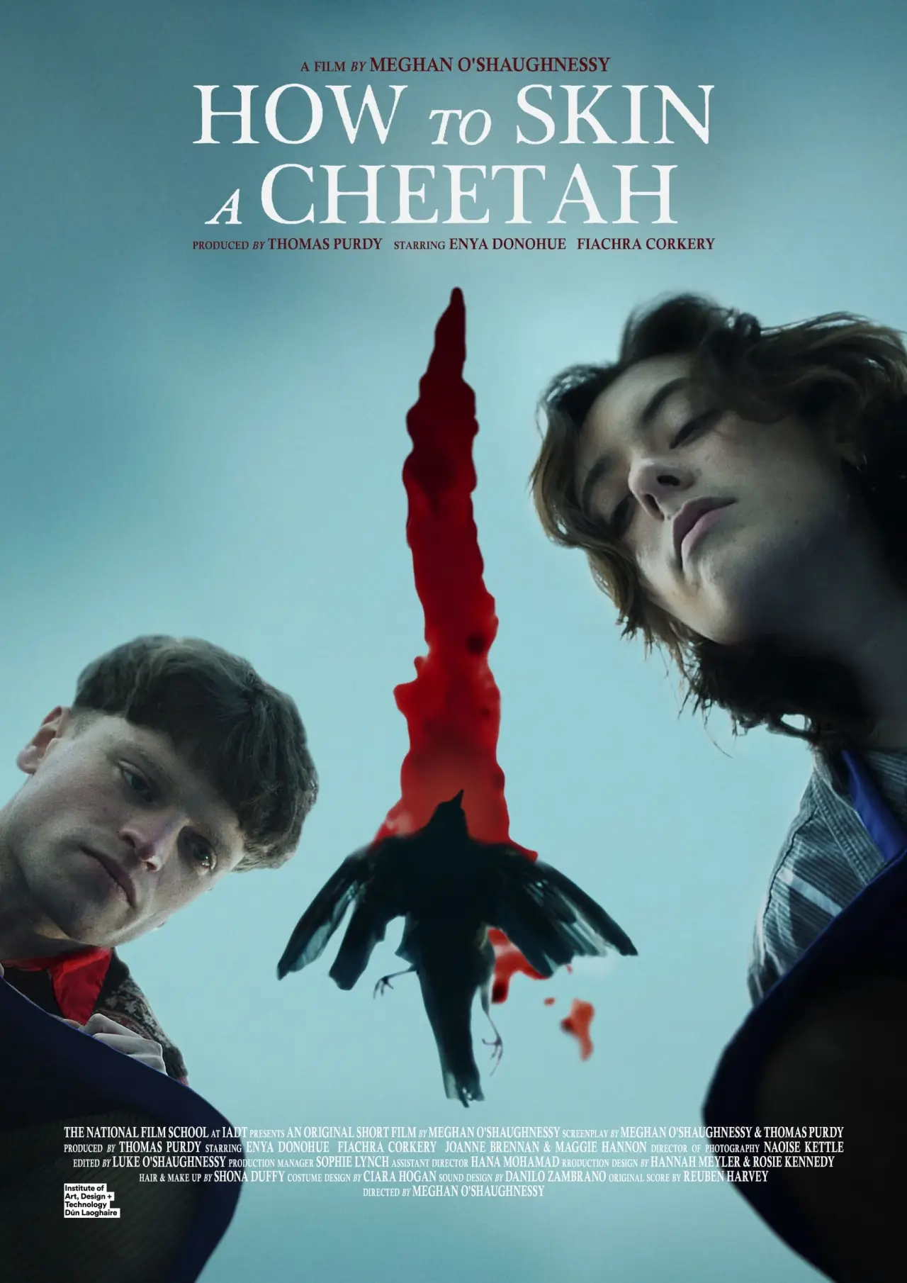 Movie poster "How to Skin a Cheetah"
