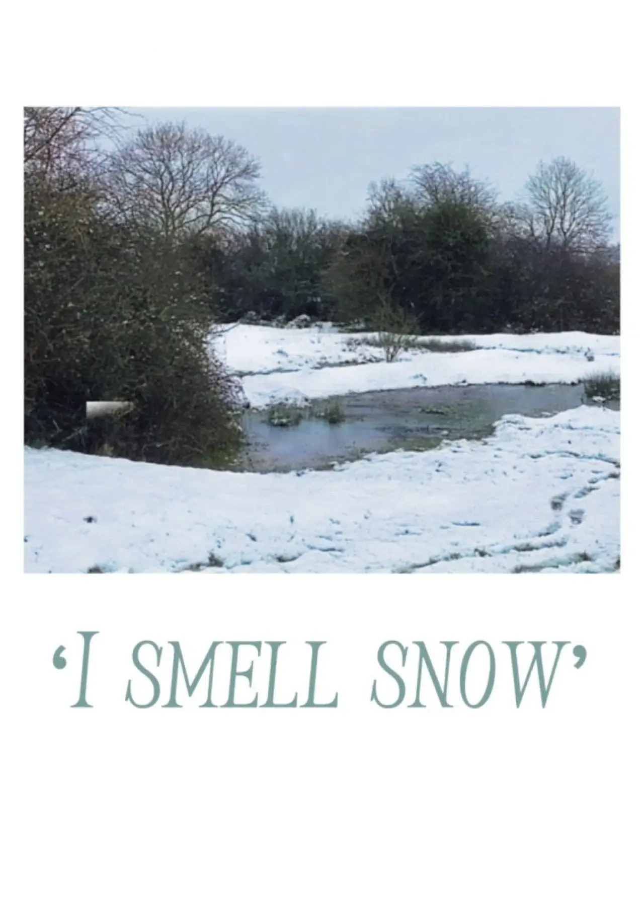 Movie poster "‘I smell snow’"