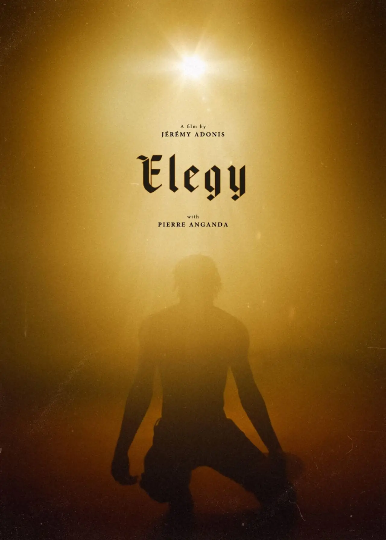 Movie poster "Elegy"
