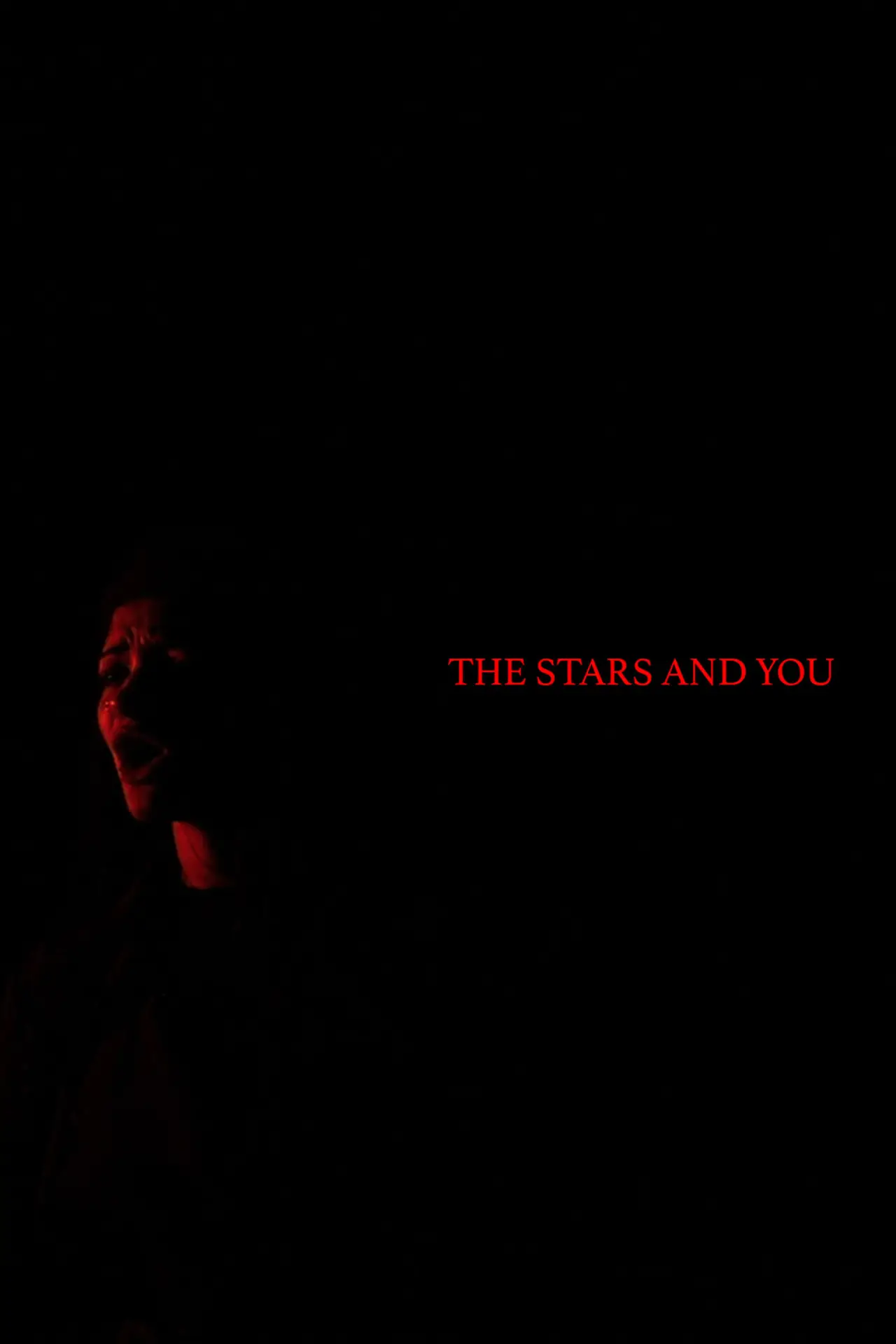 Movie poster "The Stars and You"