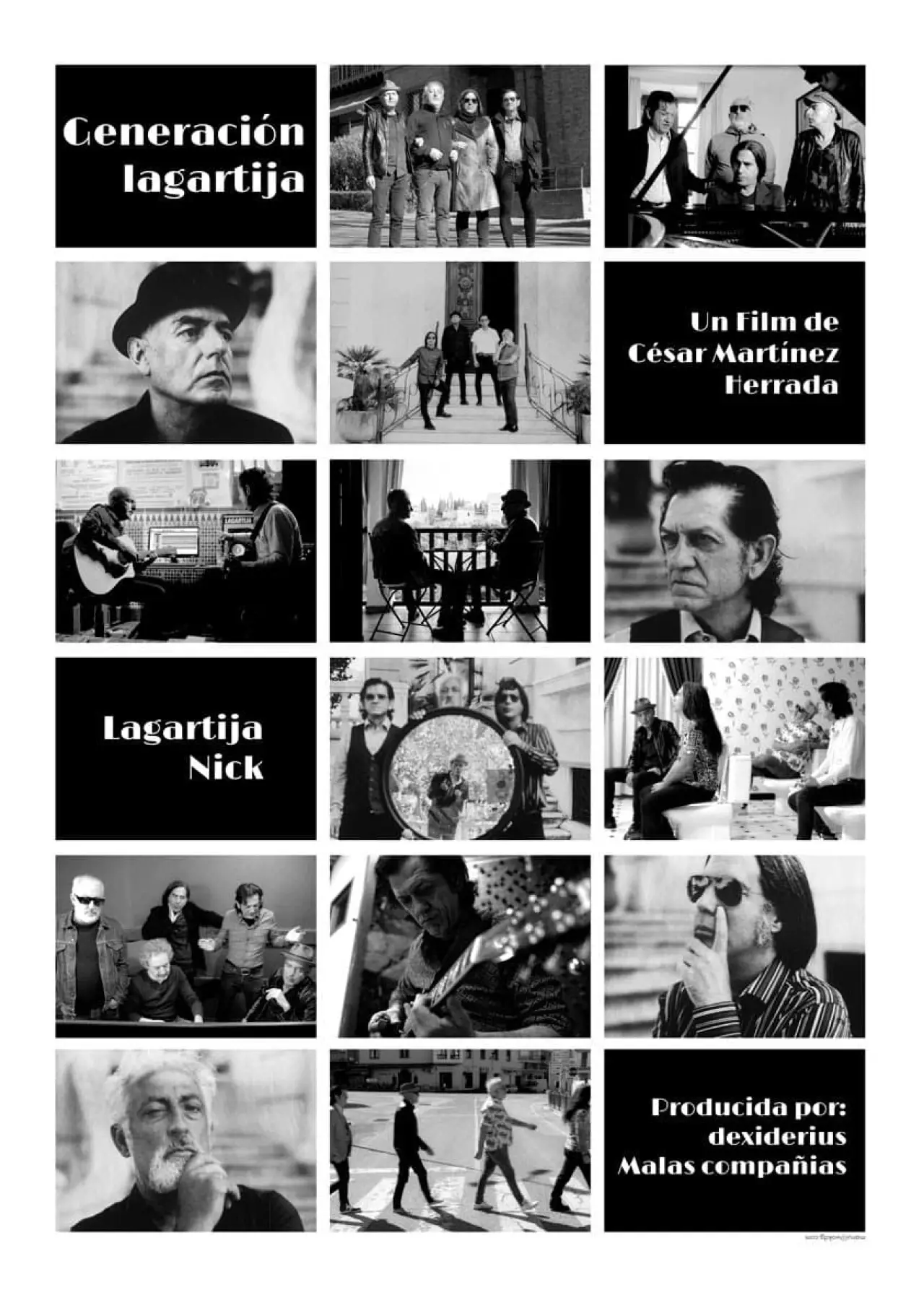 Movie poster "Generación Lagartija"