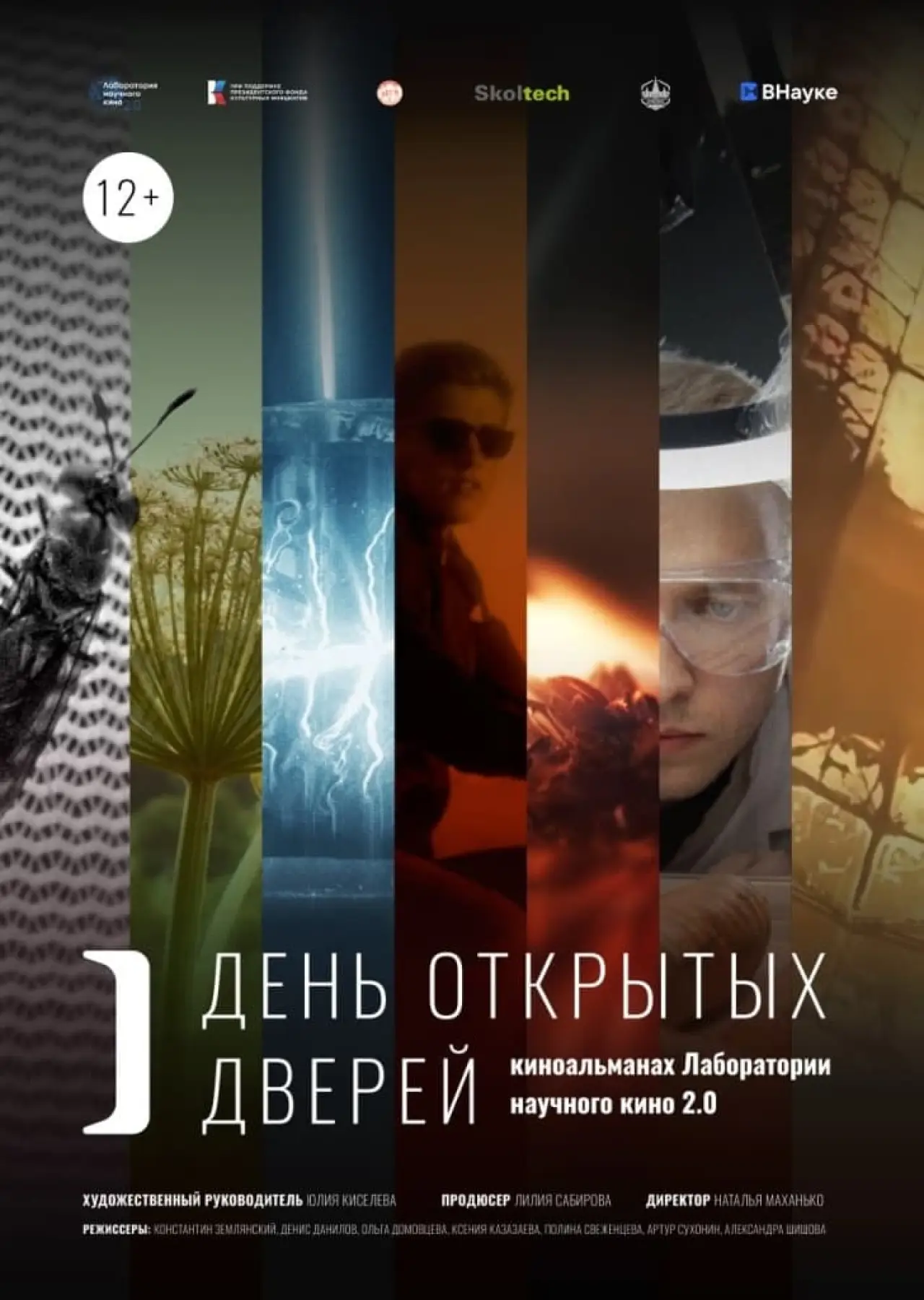 Movie poster "Open Day"