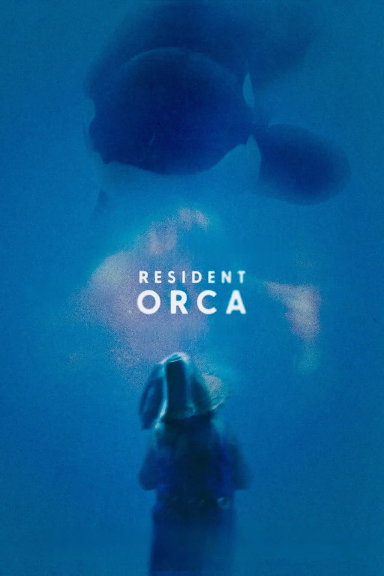 Movie poster "Resident Orca"