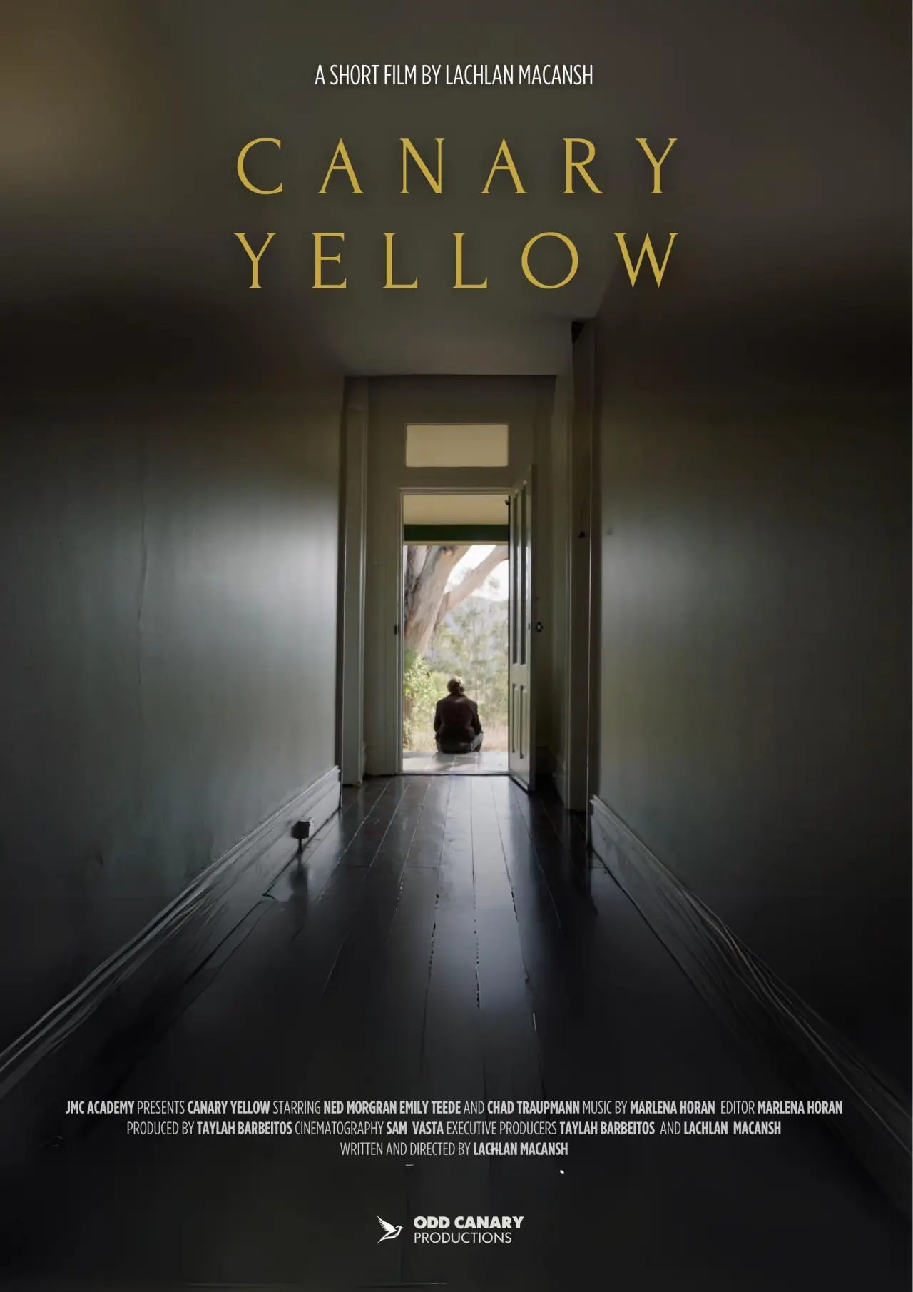 Movie poster "Canary Yellow"