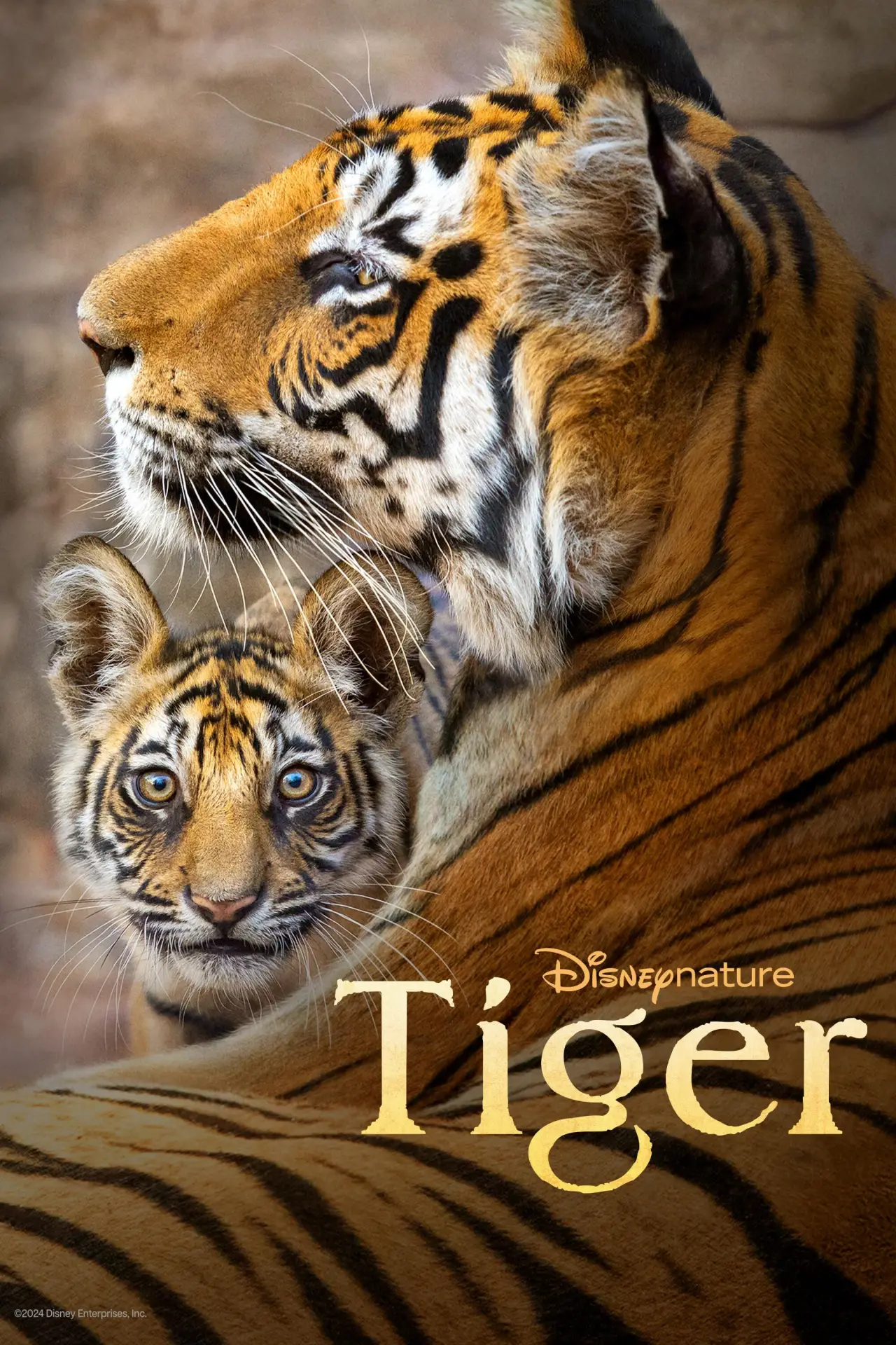 Movie poster "Tiger"