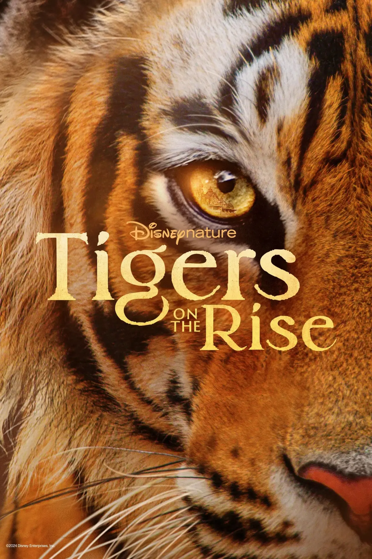 Movie poster "Tigers on the Rise"