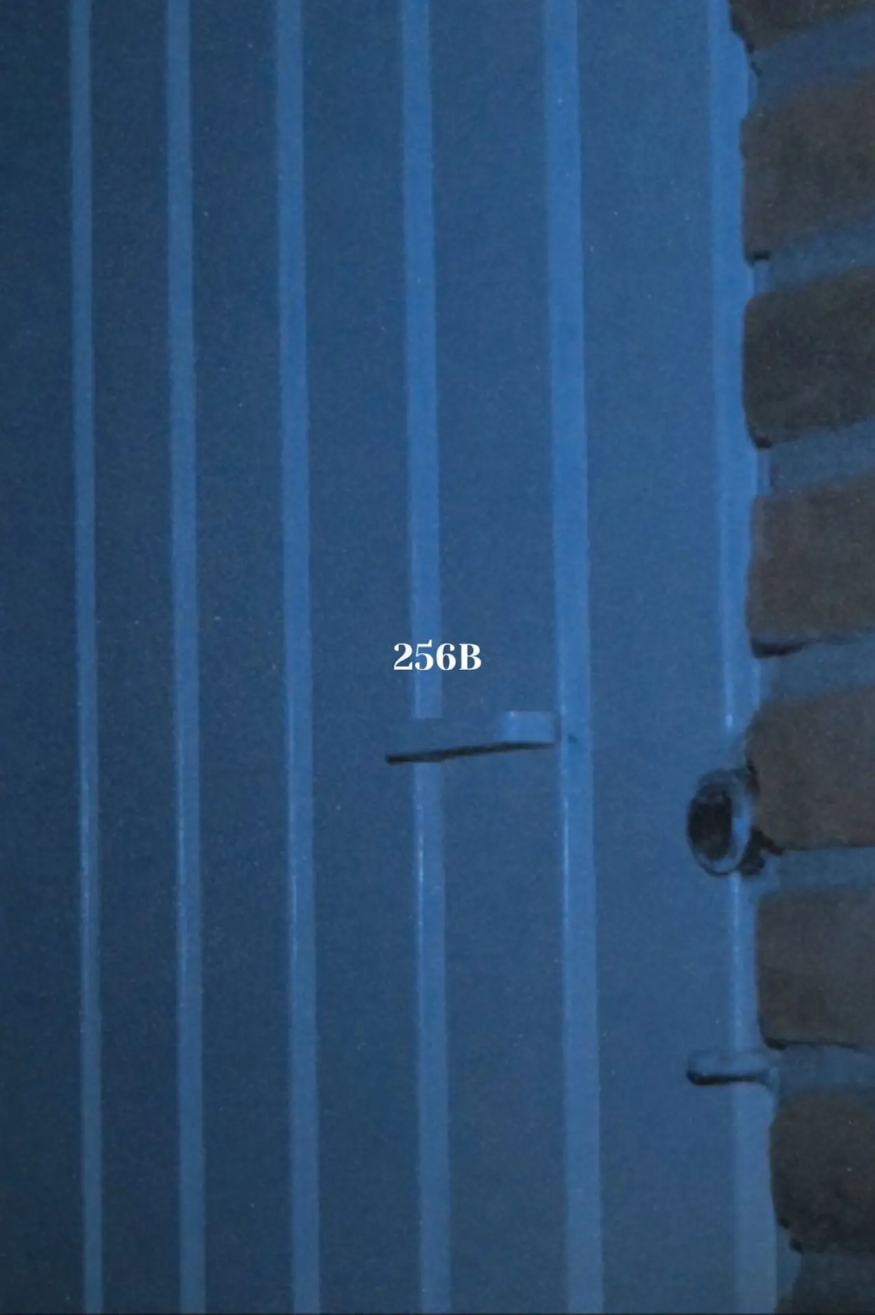 Movie poster "256B"