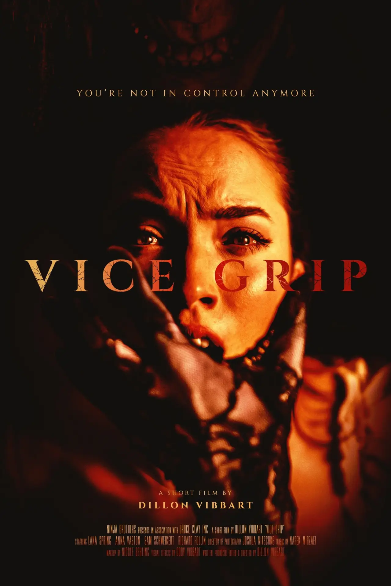 Movie poster "Vice Grip"