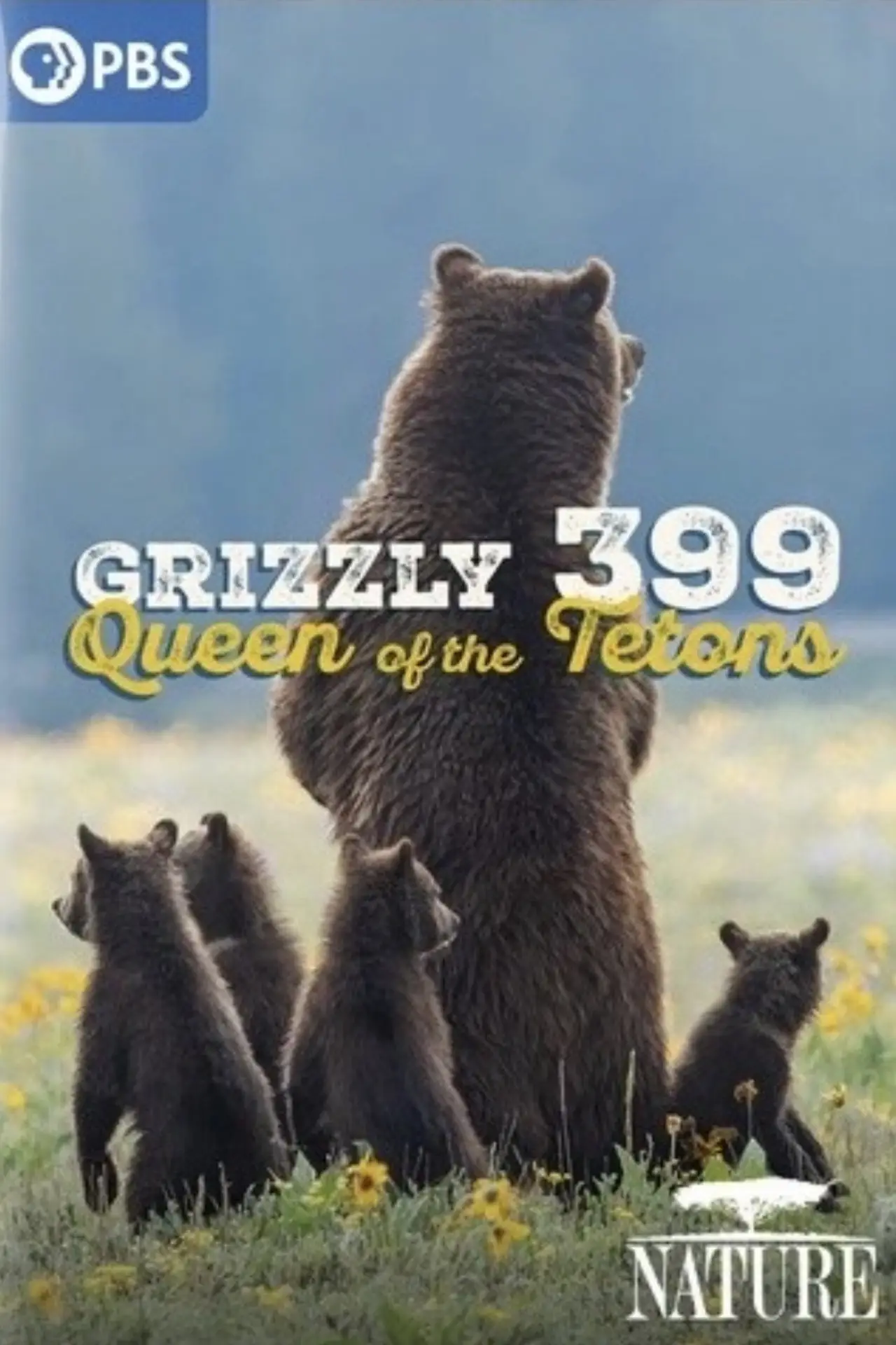 Movie poster "399: Queen of the Tetons"