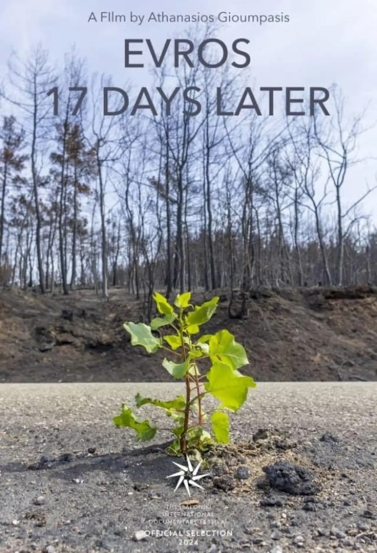 Movie poster "Evros – 17 Days Later"