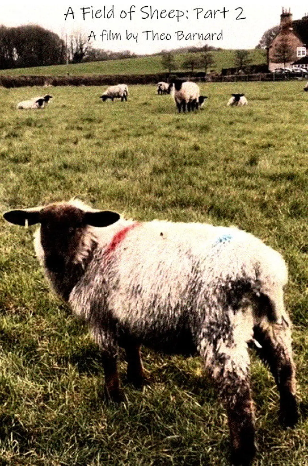 Movie poster "A Field of Sheep Part 2"