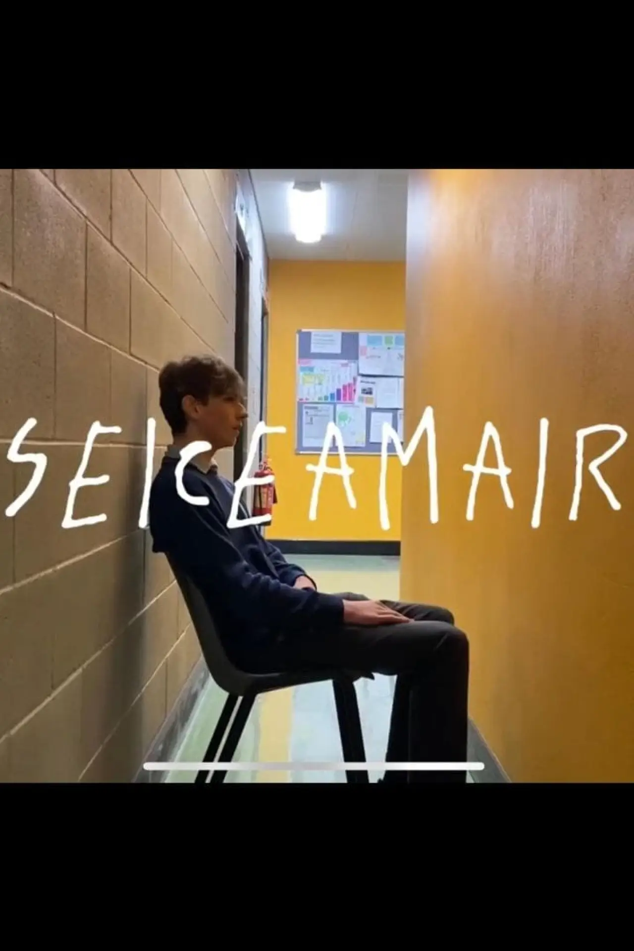 Movie poster "Seiceamair"