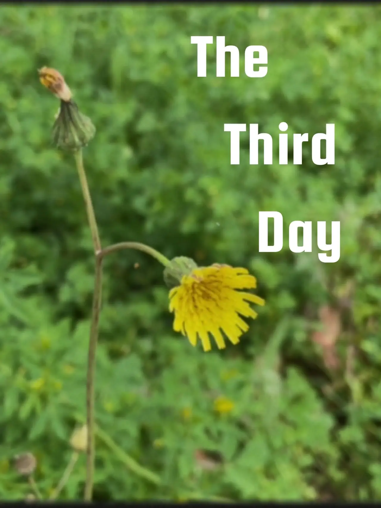 Movie poster "The Third Day"