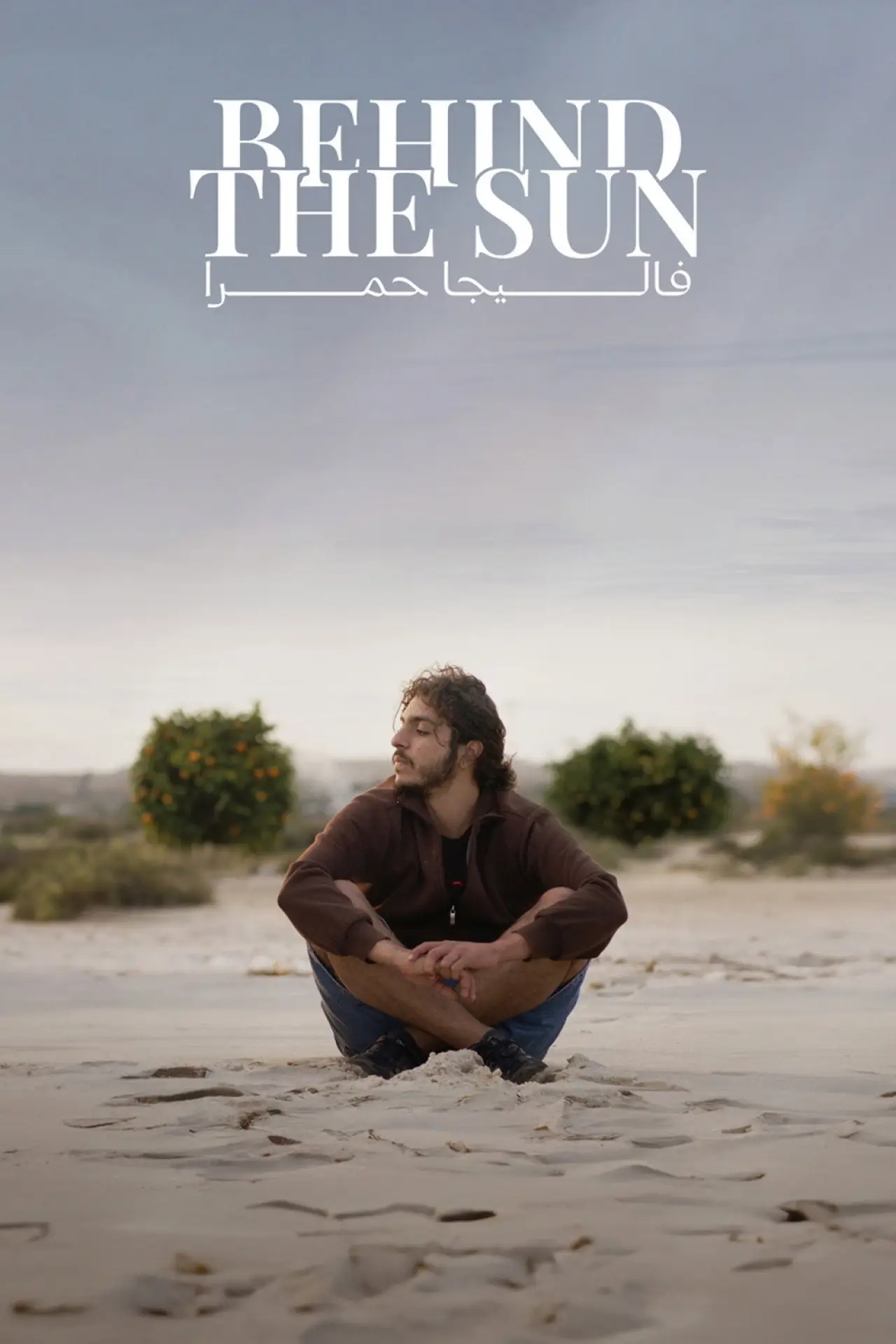 Movie poster "Behind The Sun"